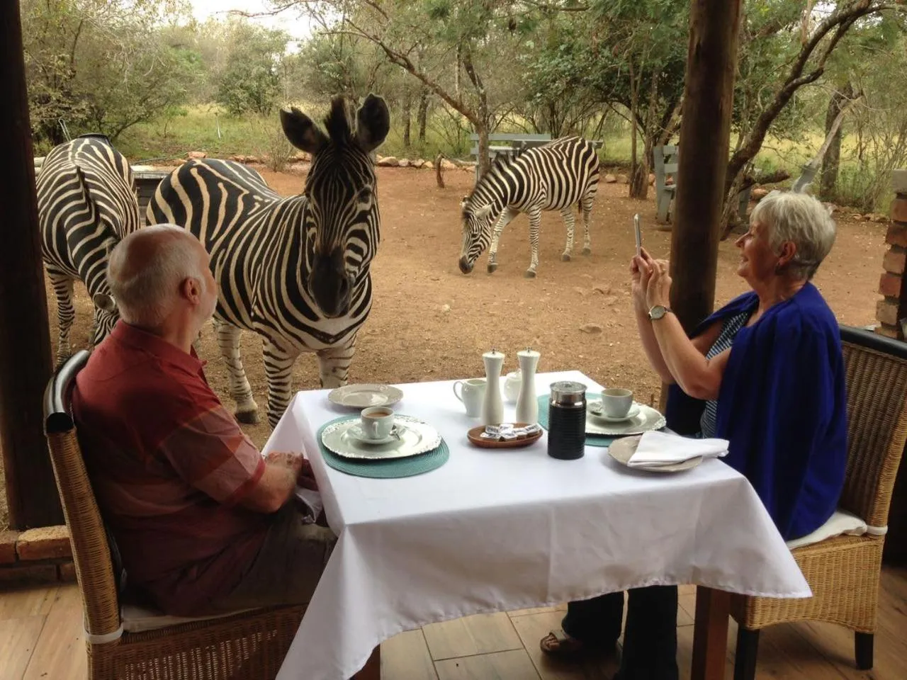 Animals in Imbube Safari Lodge