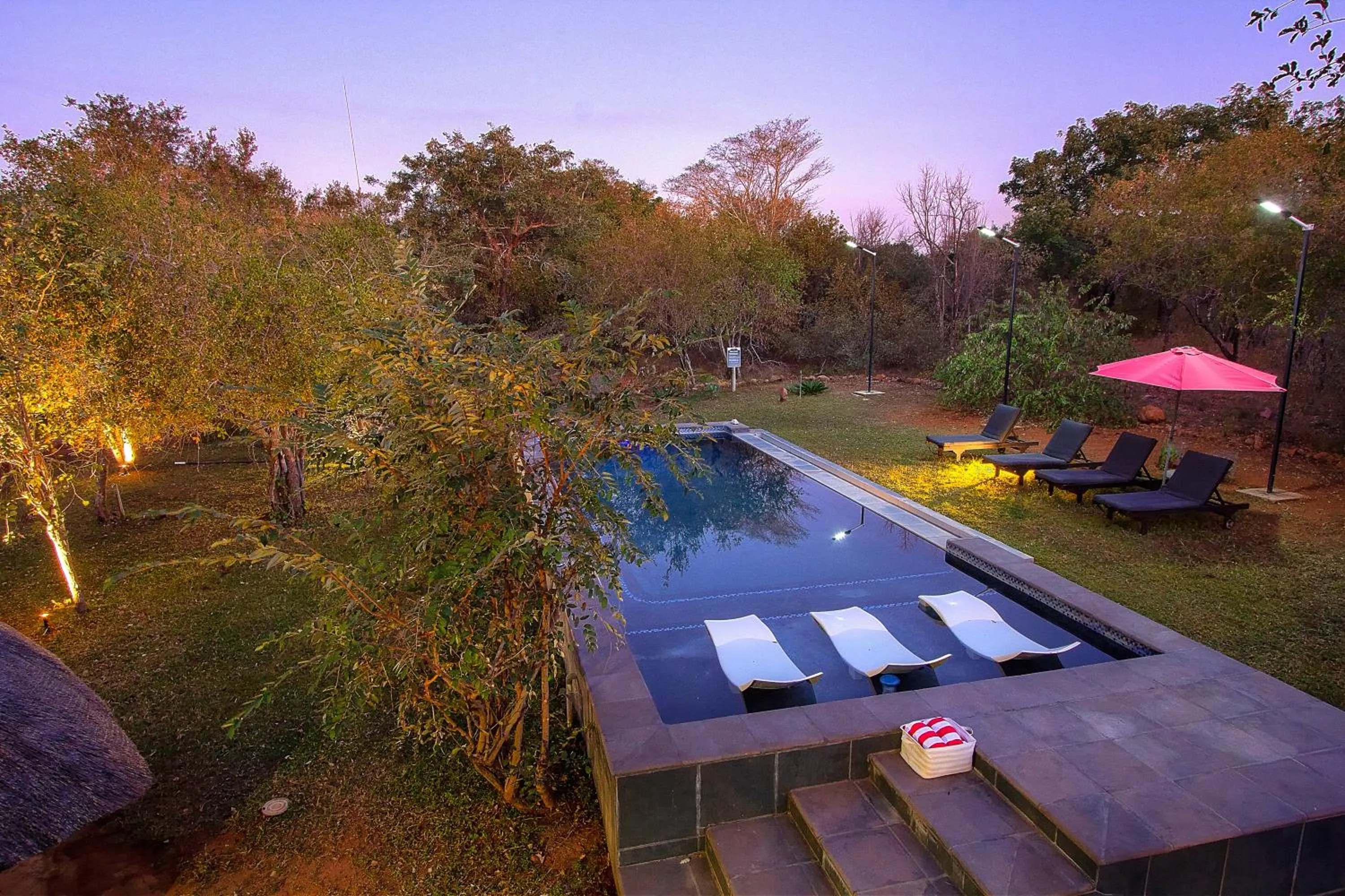 Garden in Imbube Safari Lodge