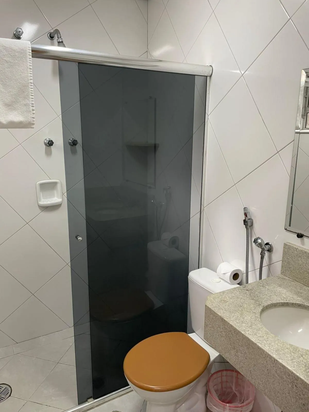 Toilet in Missouri Hotel