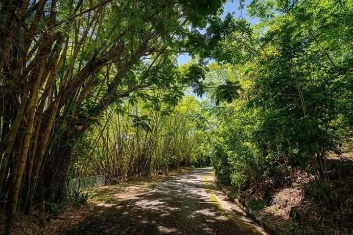 Property building in Dos Aguas