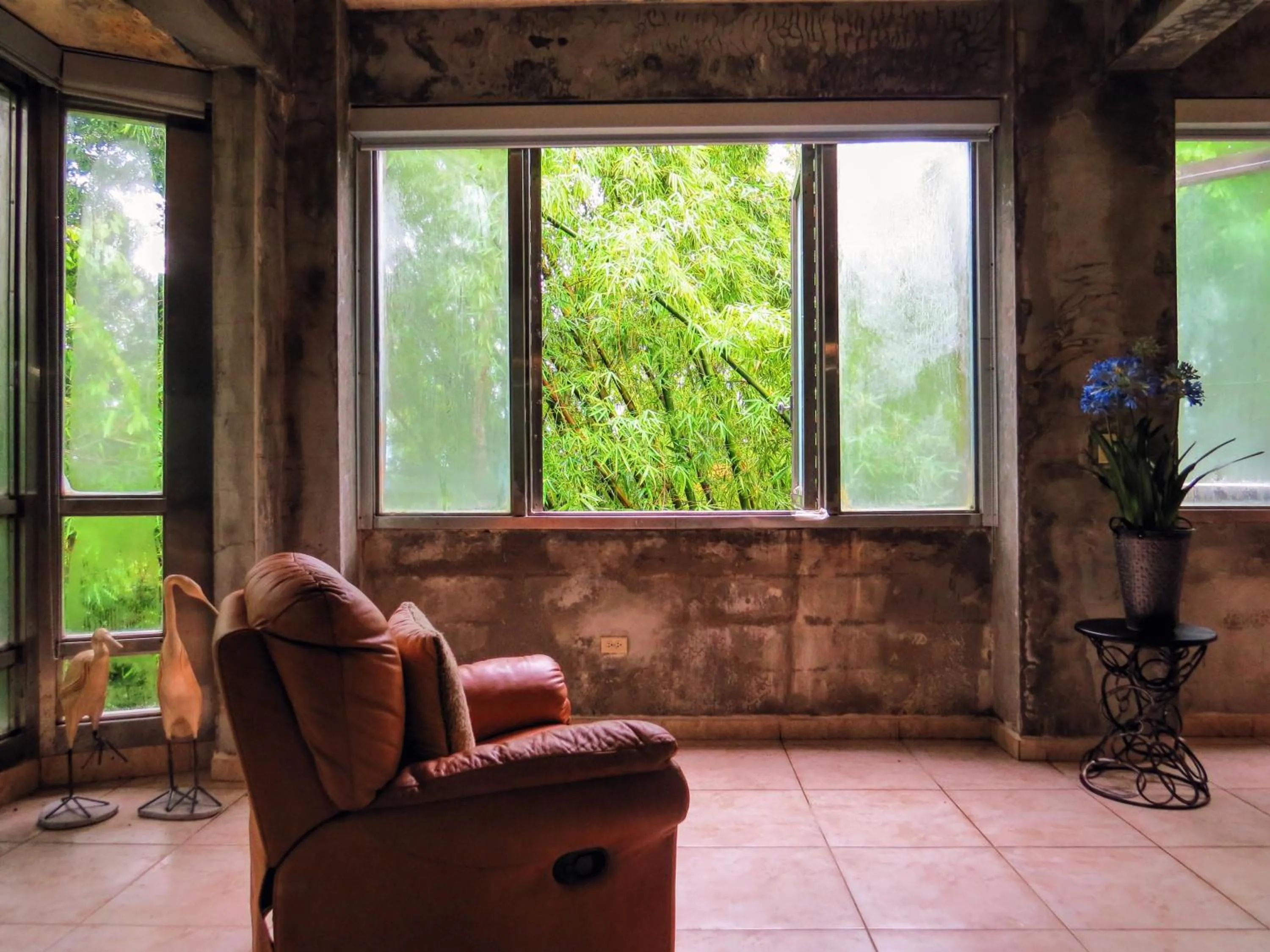 View (from property/room) in Dos Aguas