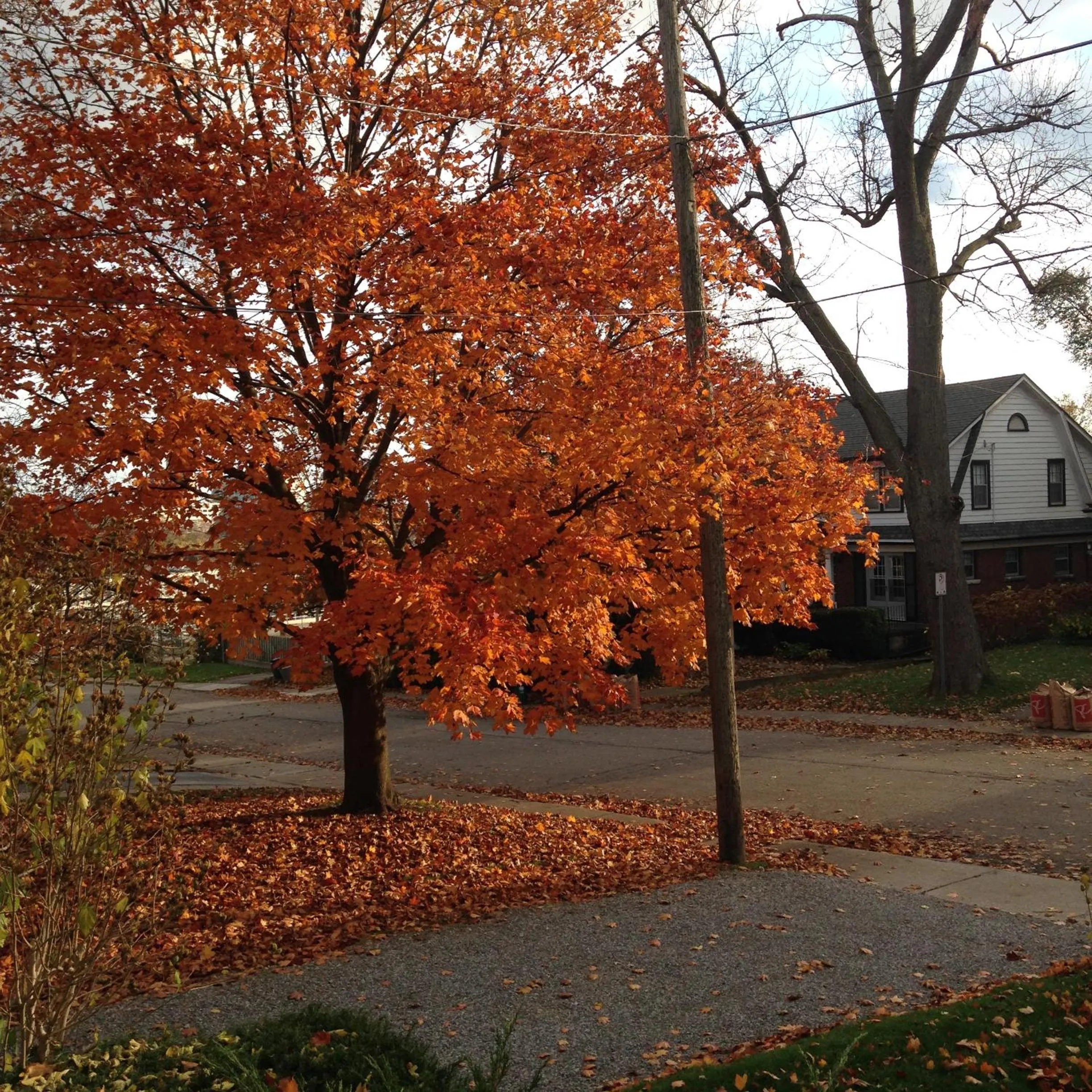 Neighbourhood in Ambiance By The Falls B&B