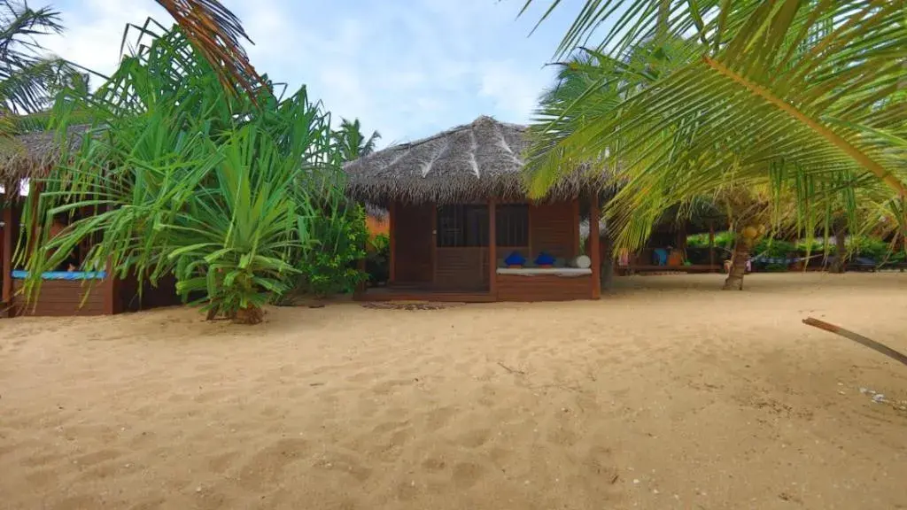 Villa - Beach Front in Mangrove Beach Cabana Villa - Beach Front in Mangrove Beach Cabana