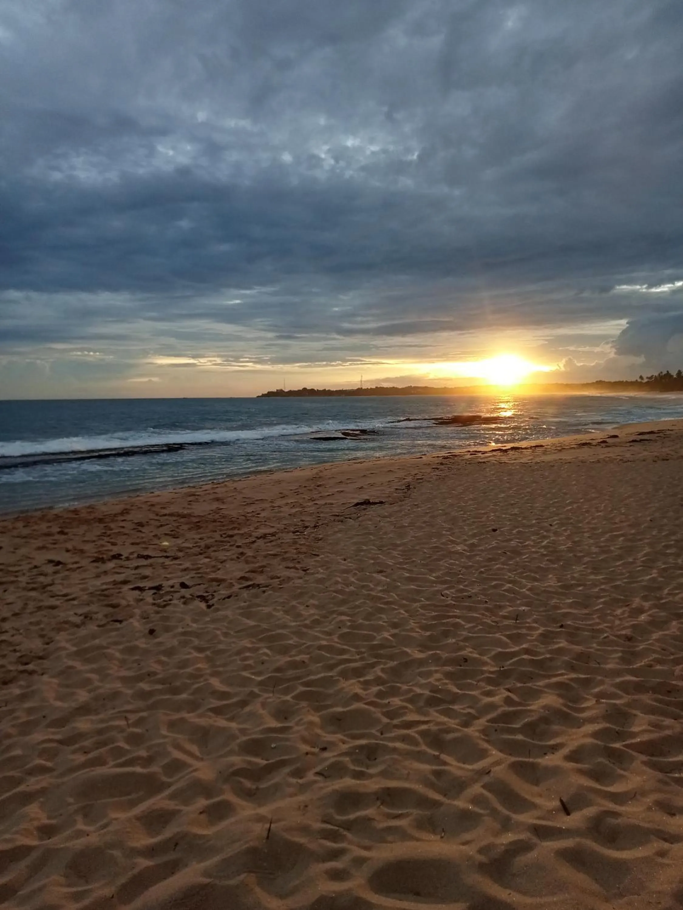 Mangrove Beach Cabana