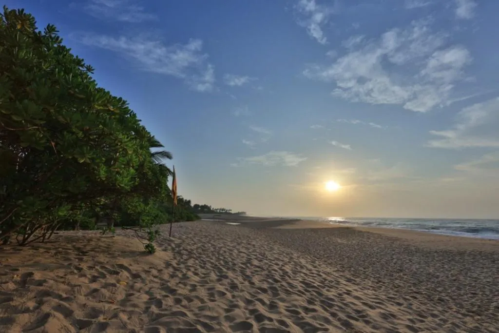Mangrove Beach Cabana