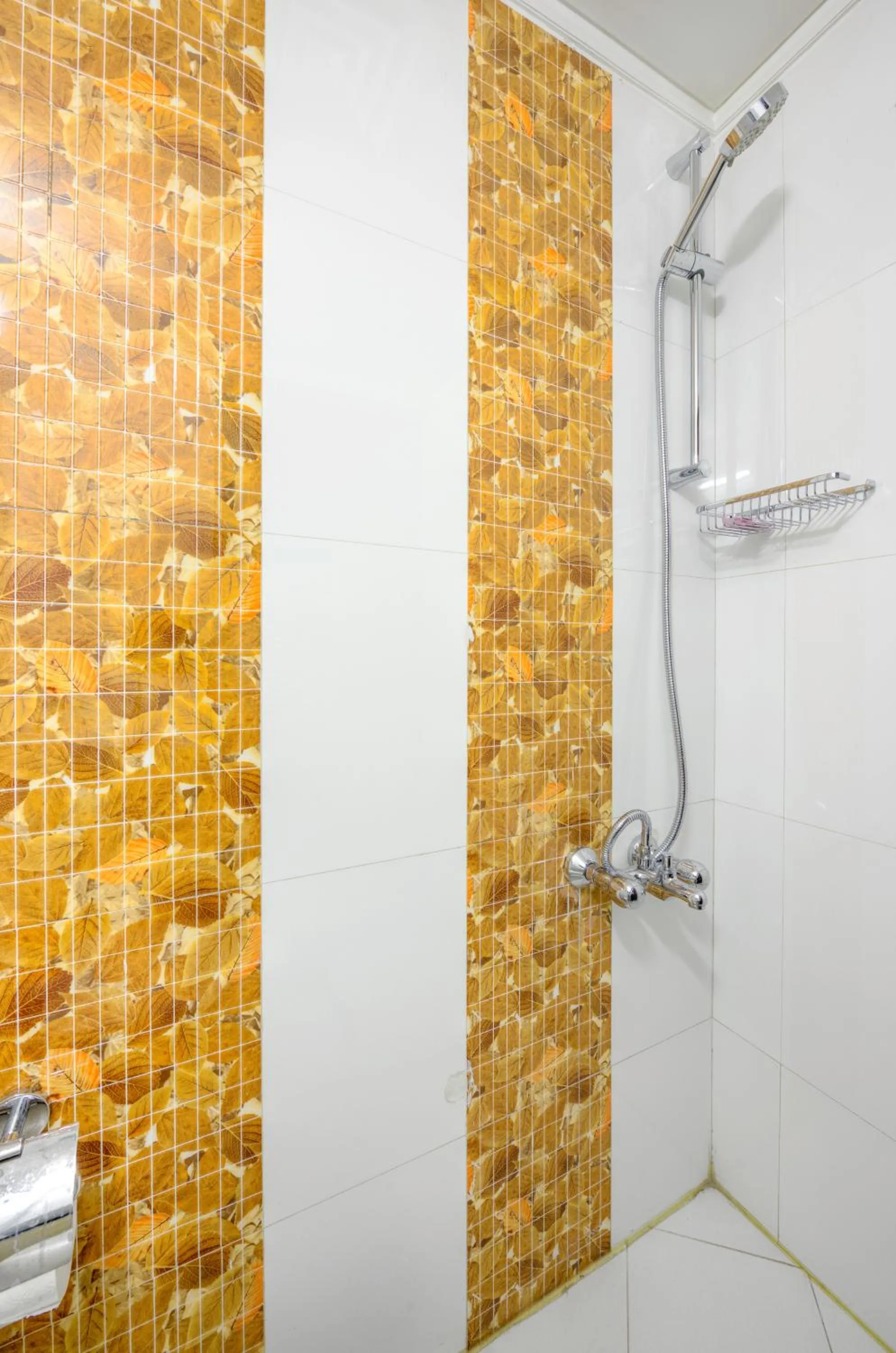 Shower in Palm 34