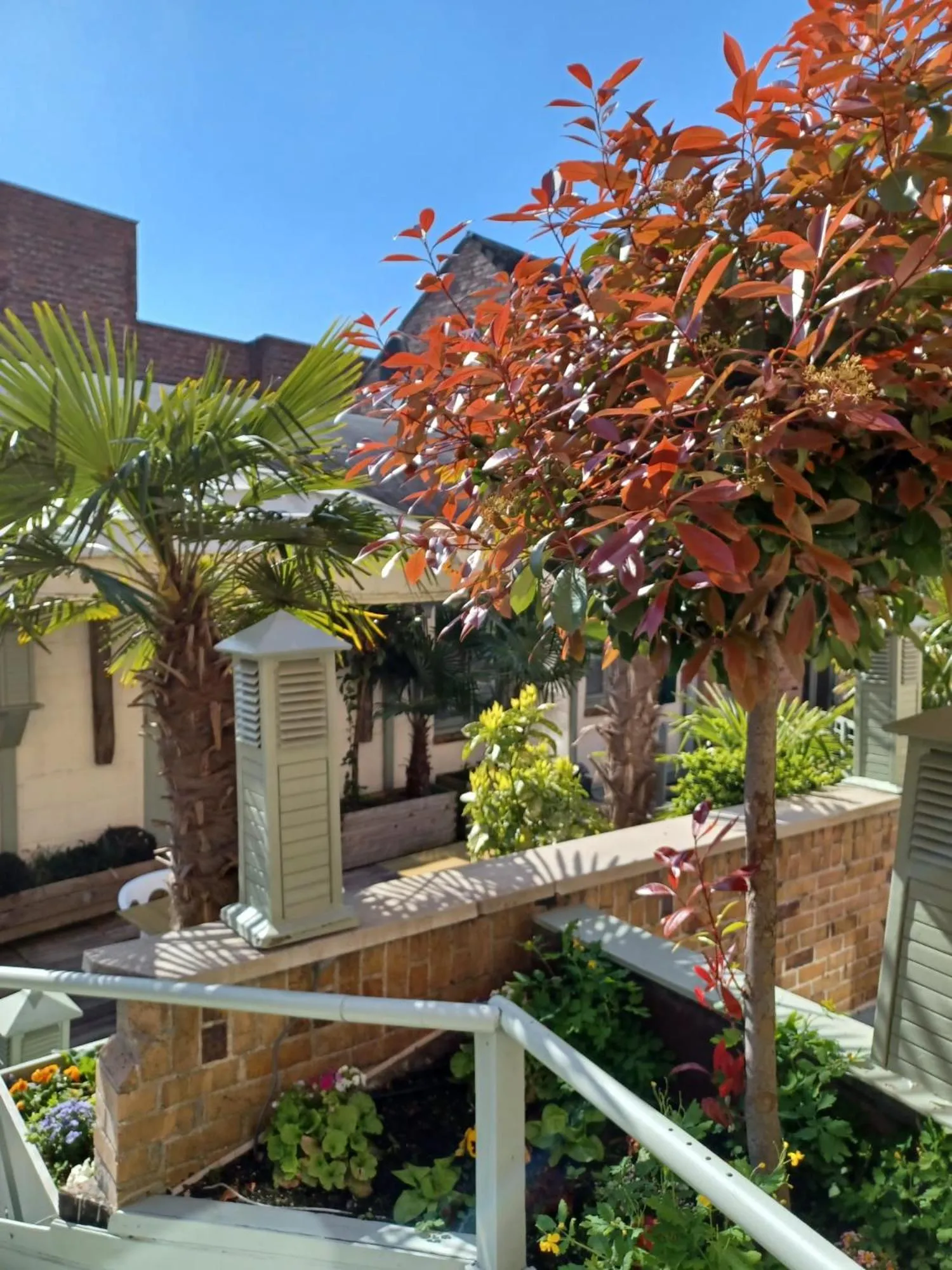 Patio in Hotel Koffieboontje