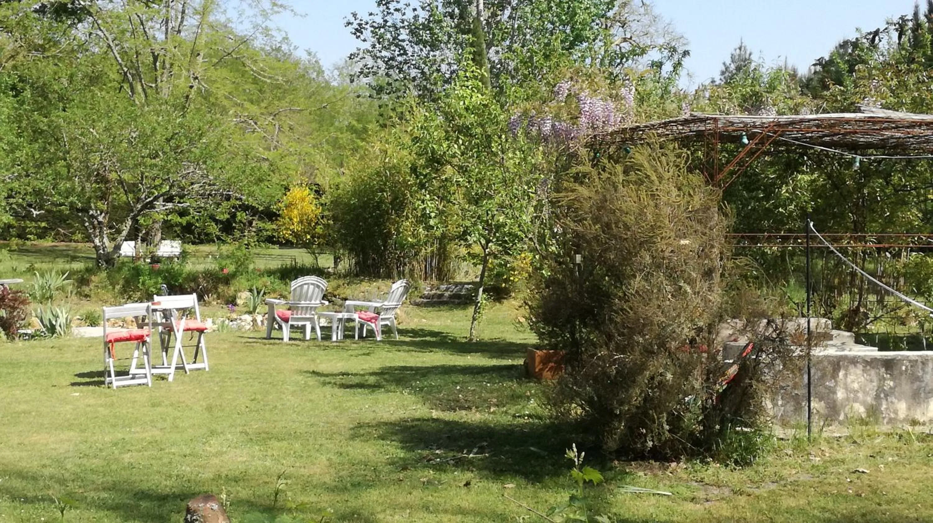 Garden in Les Hôtes Landes