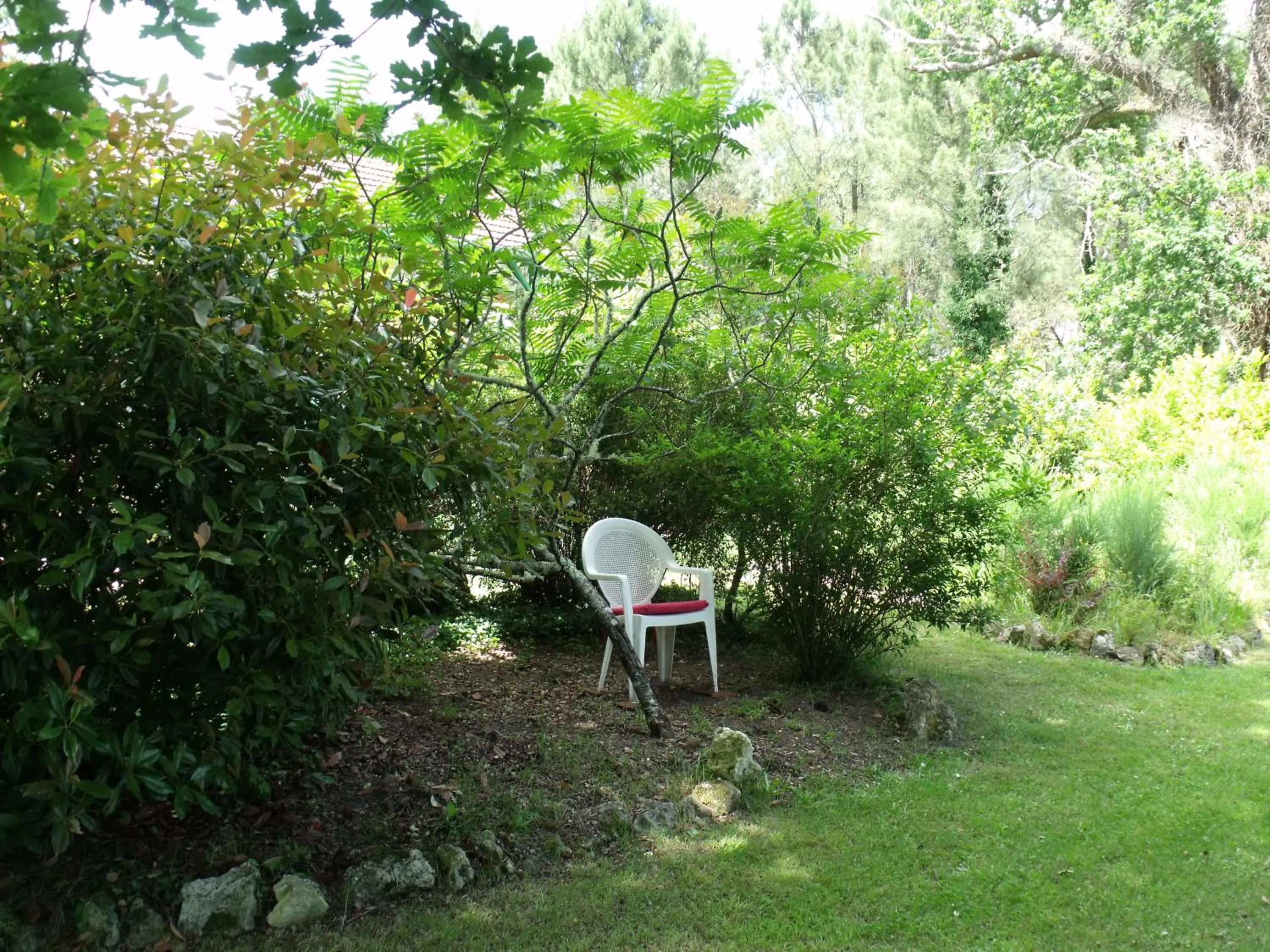 Garden in Les Hôtes Landes