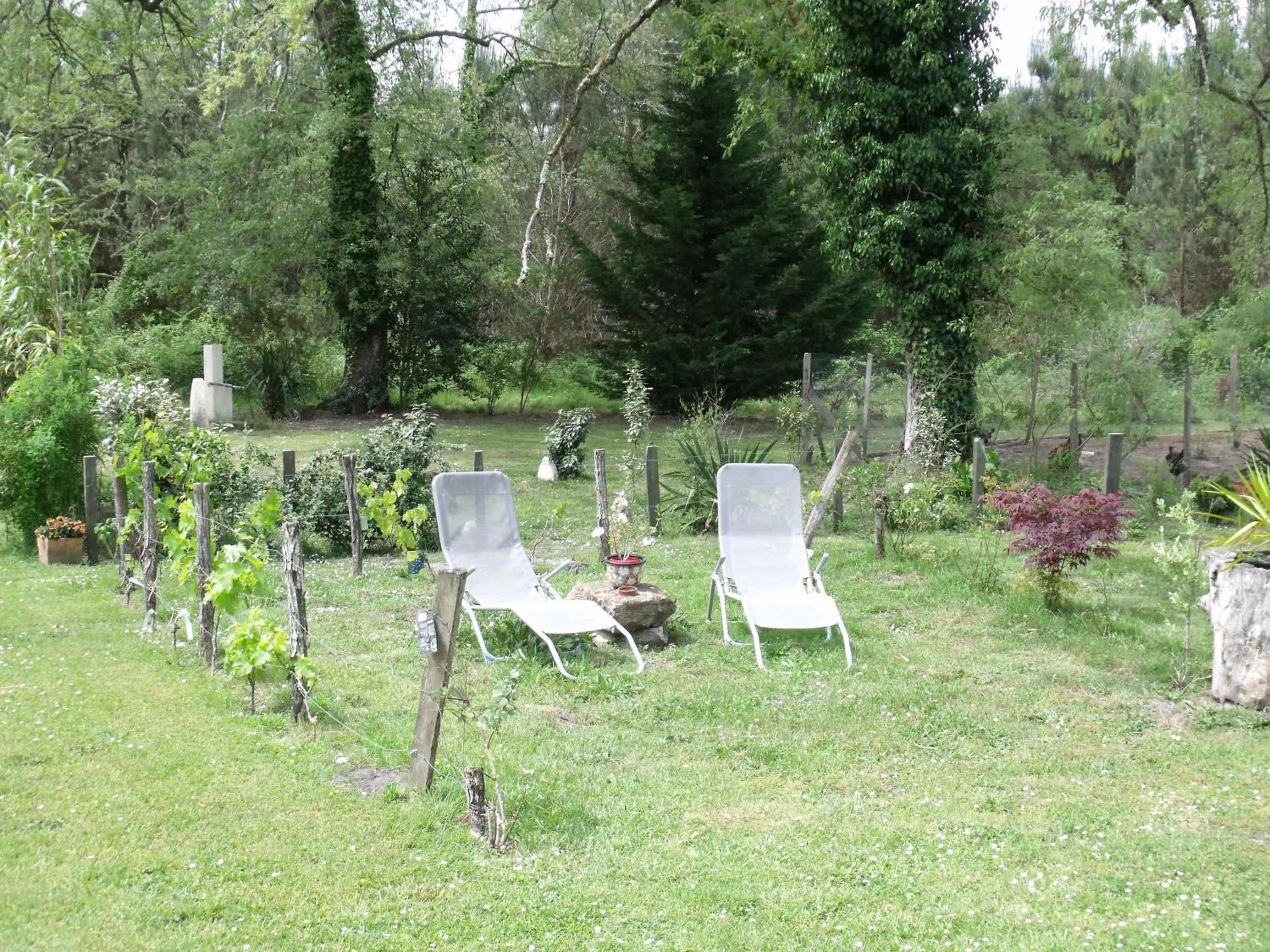 Natural landscape in Les Hôtes Landes