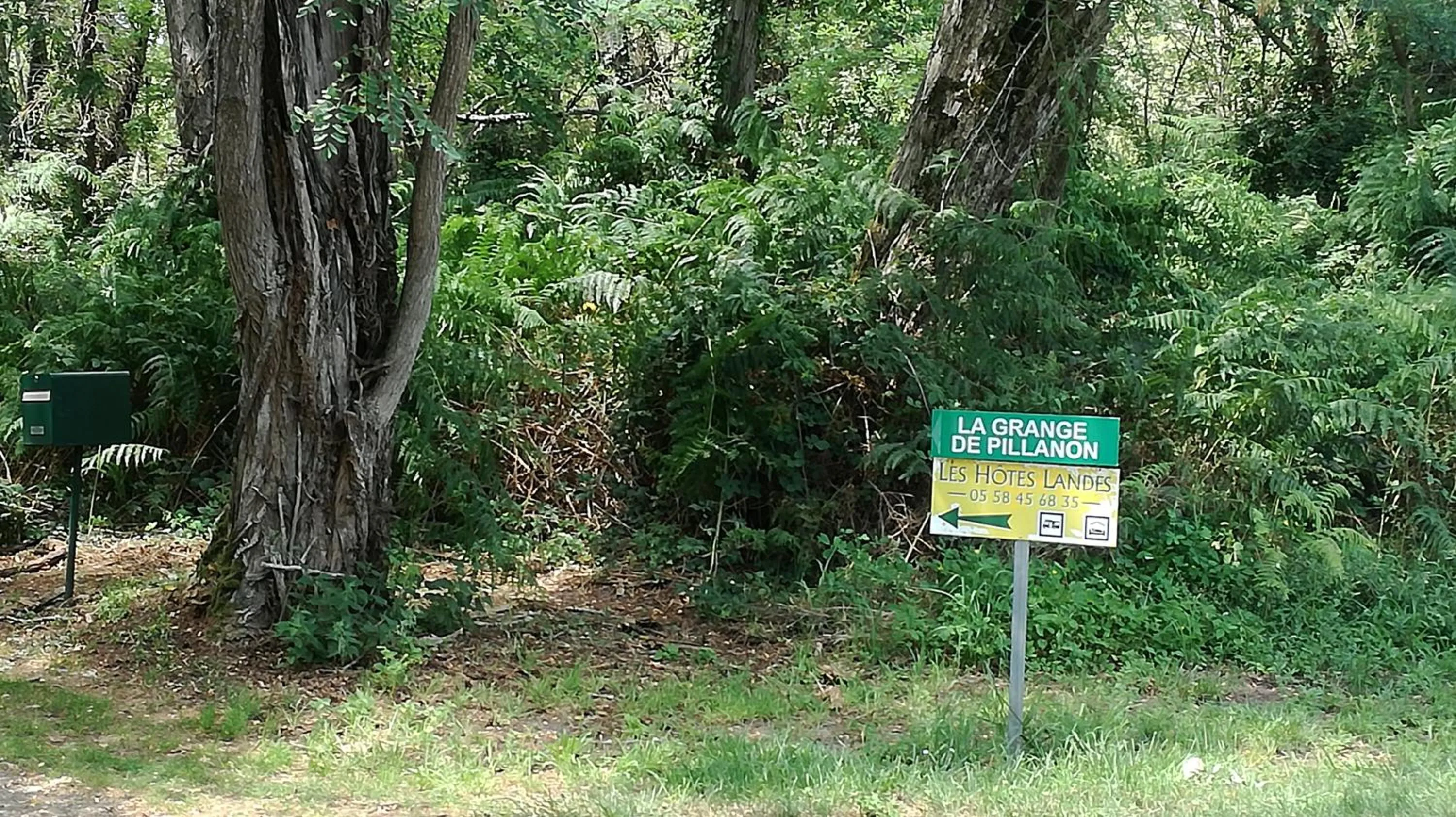 Day in Les Hôtes Landes