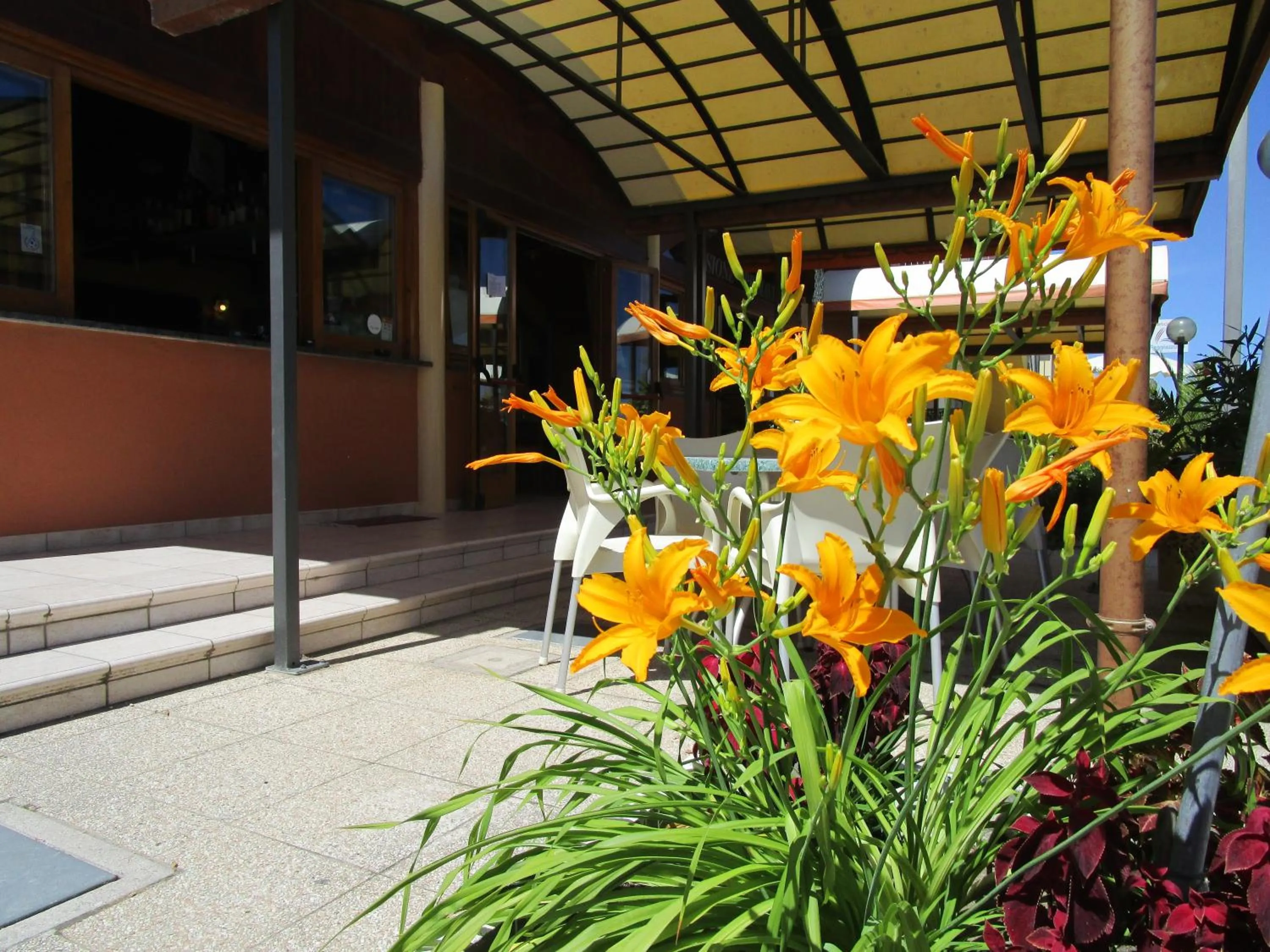 Garden in Albergo Primavera
