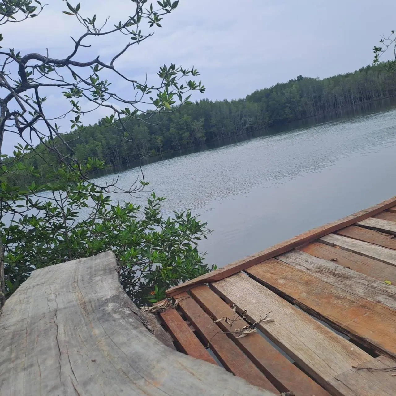 Fishing in Alisea Pool Villa Aonang