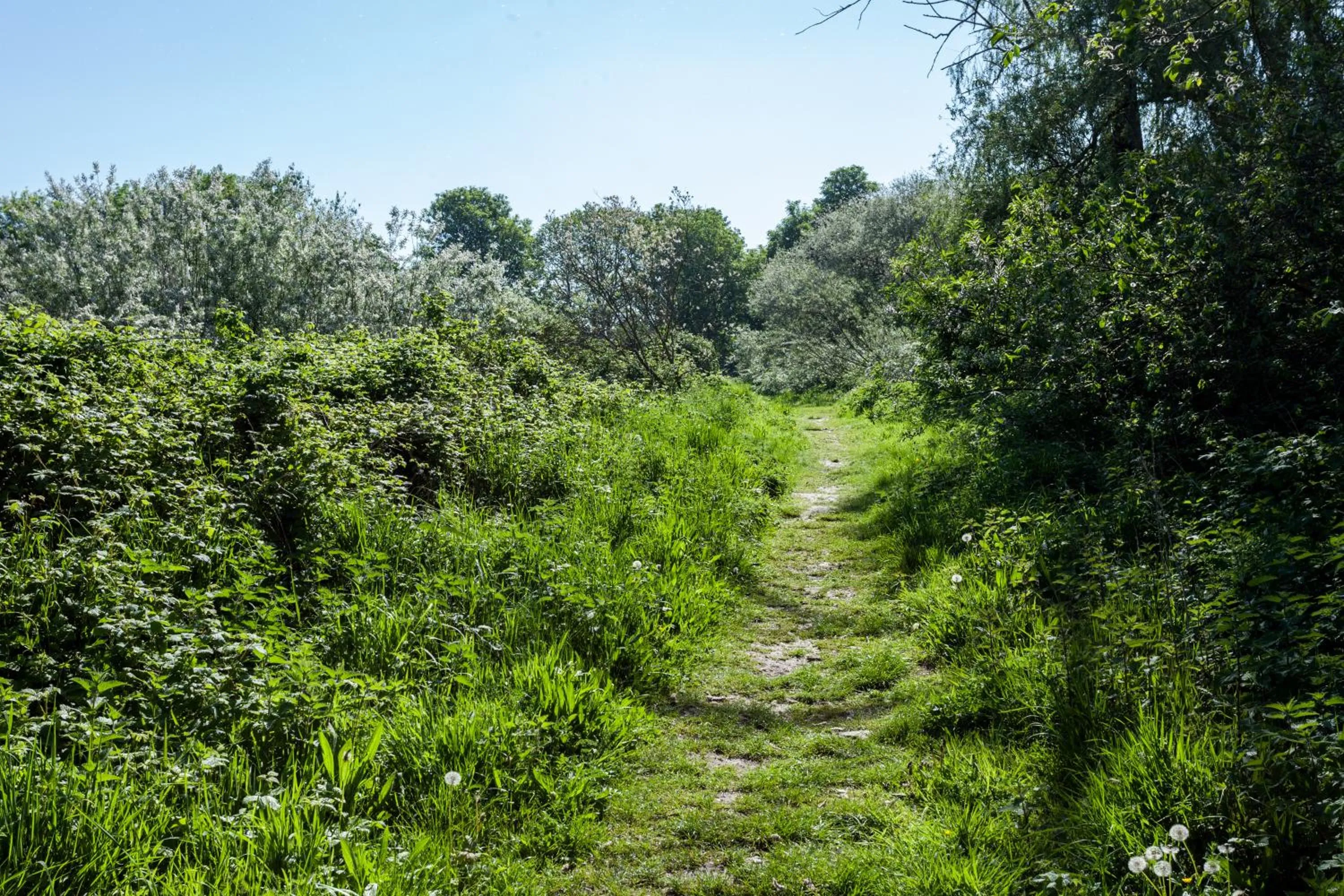 Natural landscape in Boat Hotel De Barge