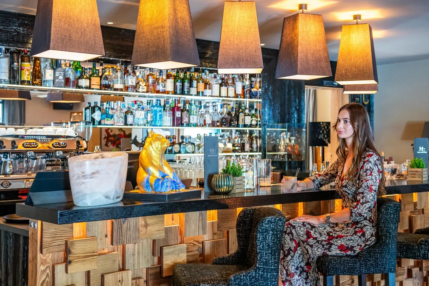 Lounge or bar in Hotel Montchalet