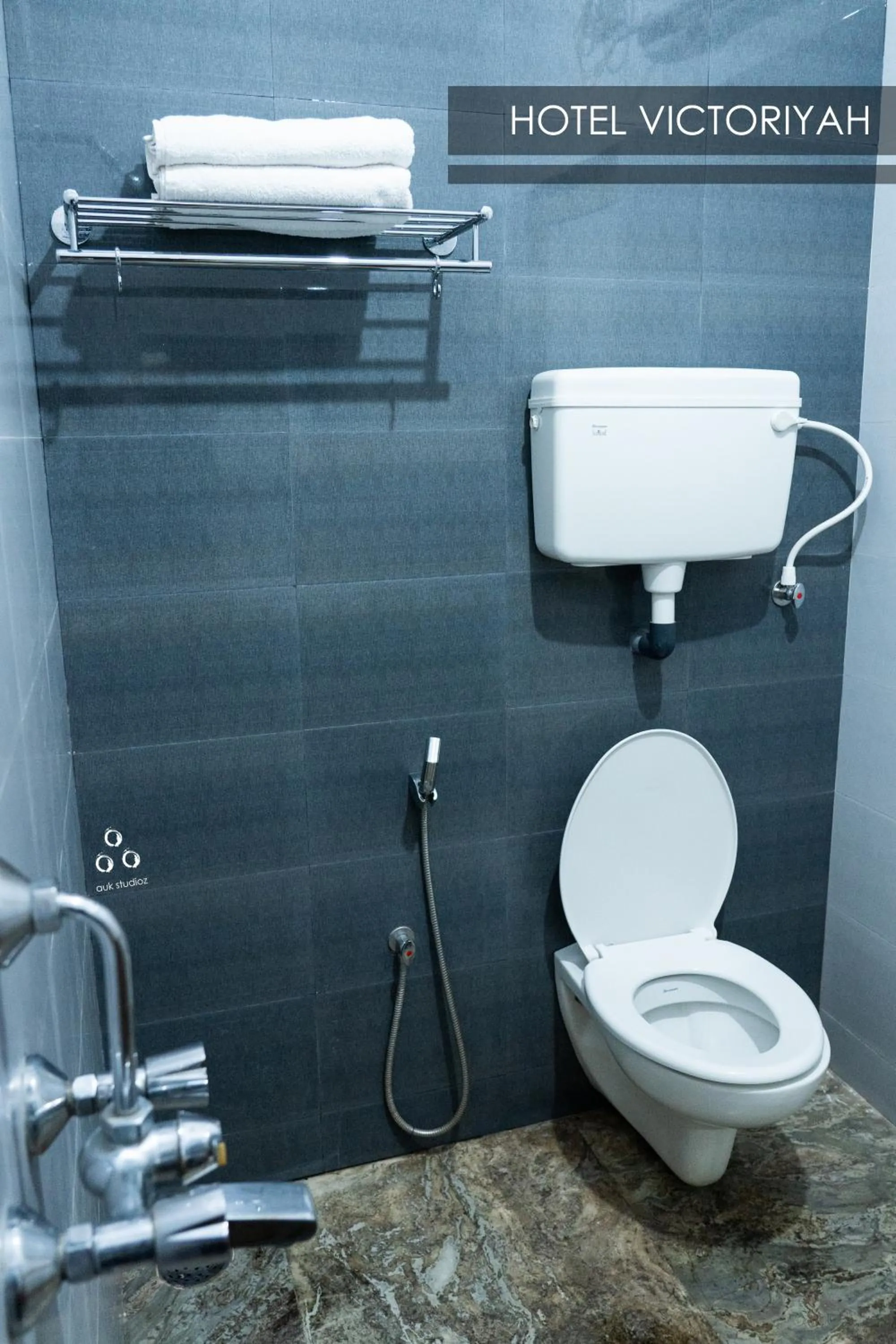 Toilet in Hotel Victoriyah