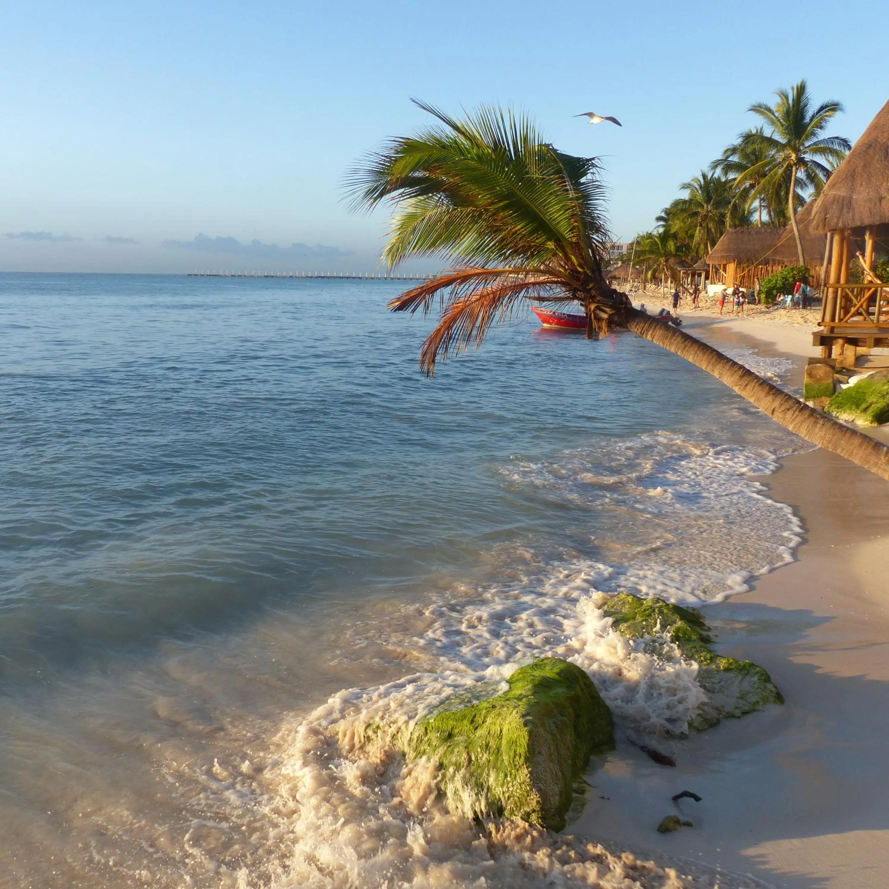 Beach in Lilas del Mar Apartments
