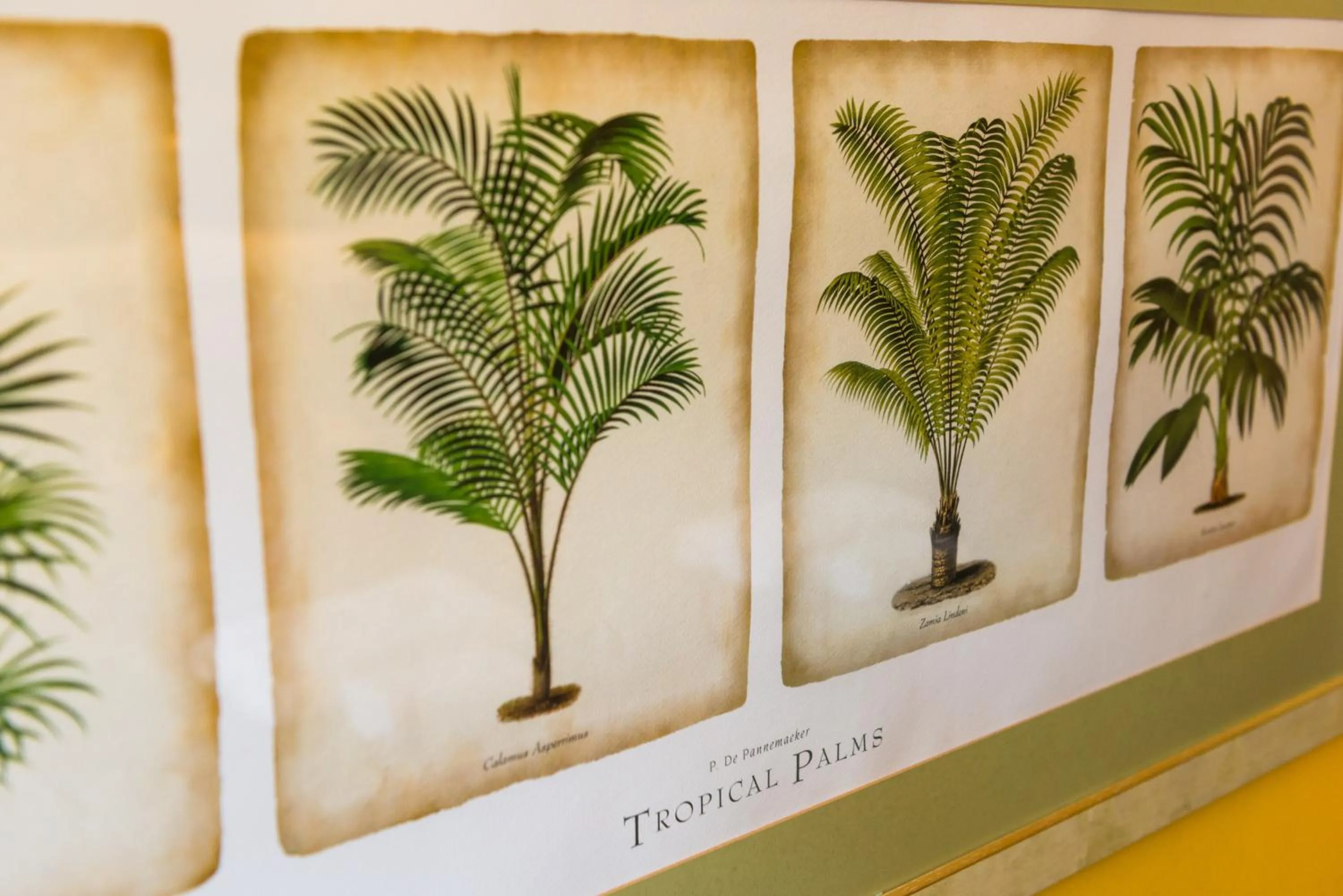 Property building in The Coral Penthouse in Rio de Janeiro - 7 Bedrooms