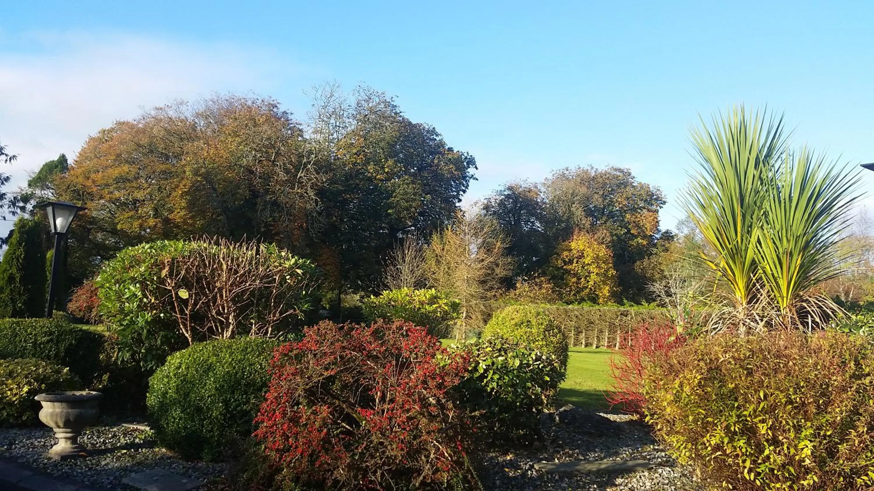 Garden in Cloghan Lodge