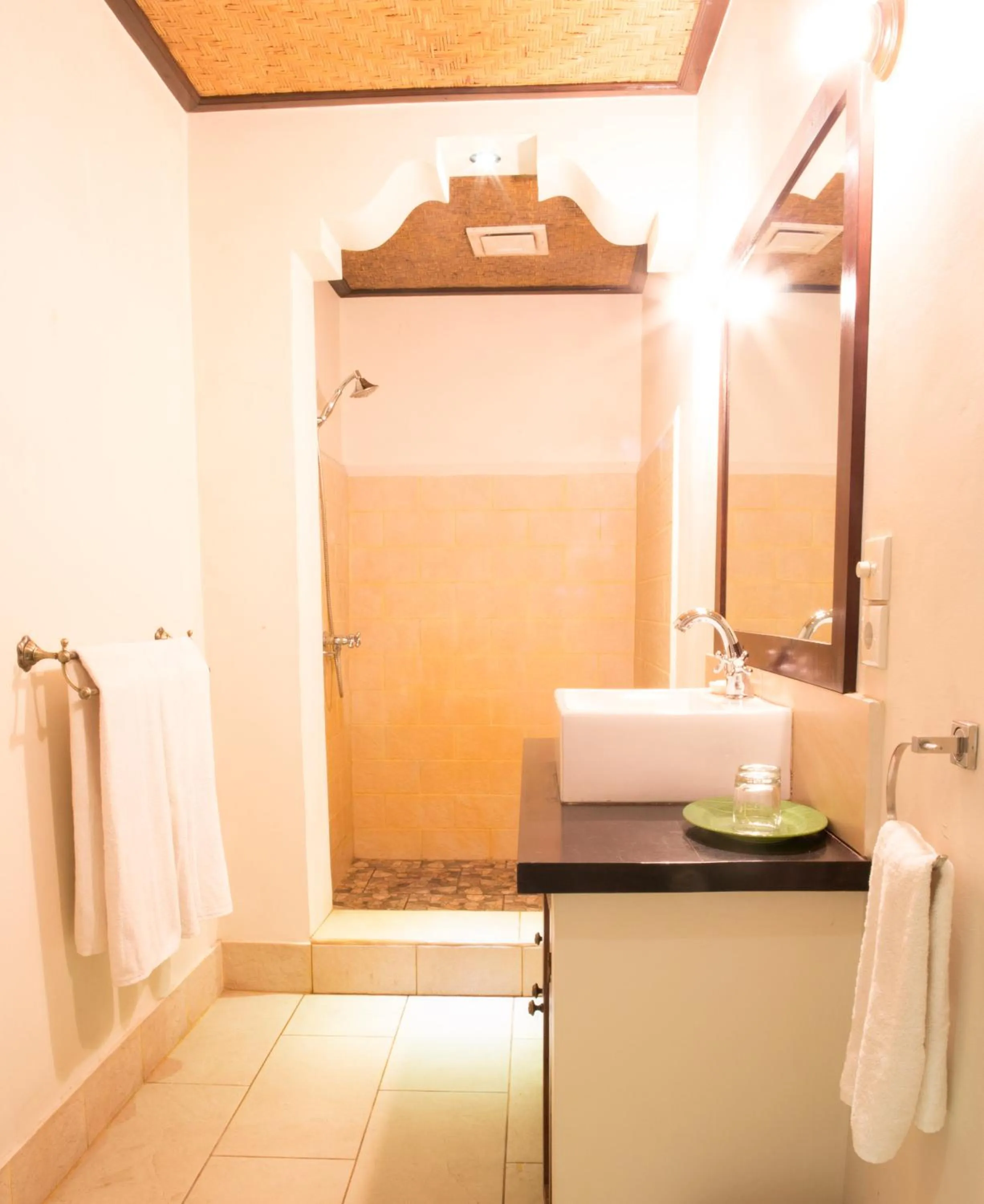 Shower in Istana Balian - Boutique Hotel Resort