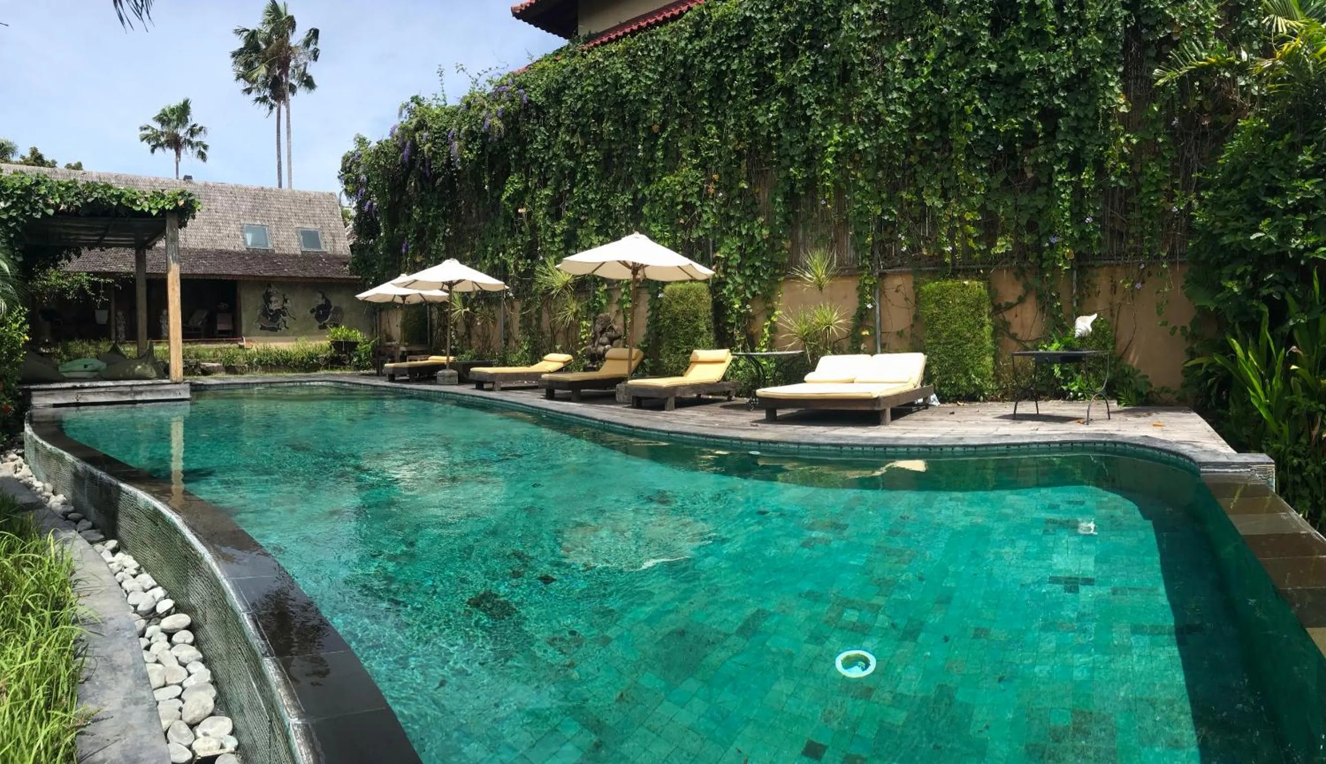 Day in Wayang Retreat