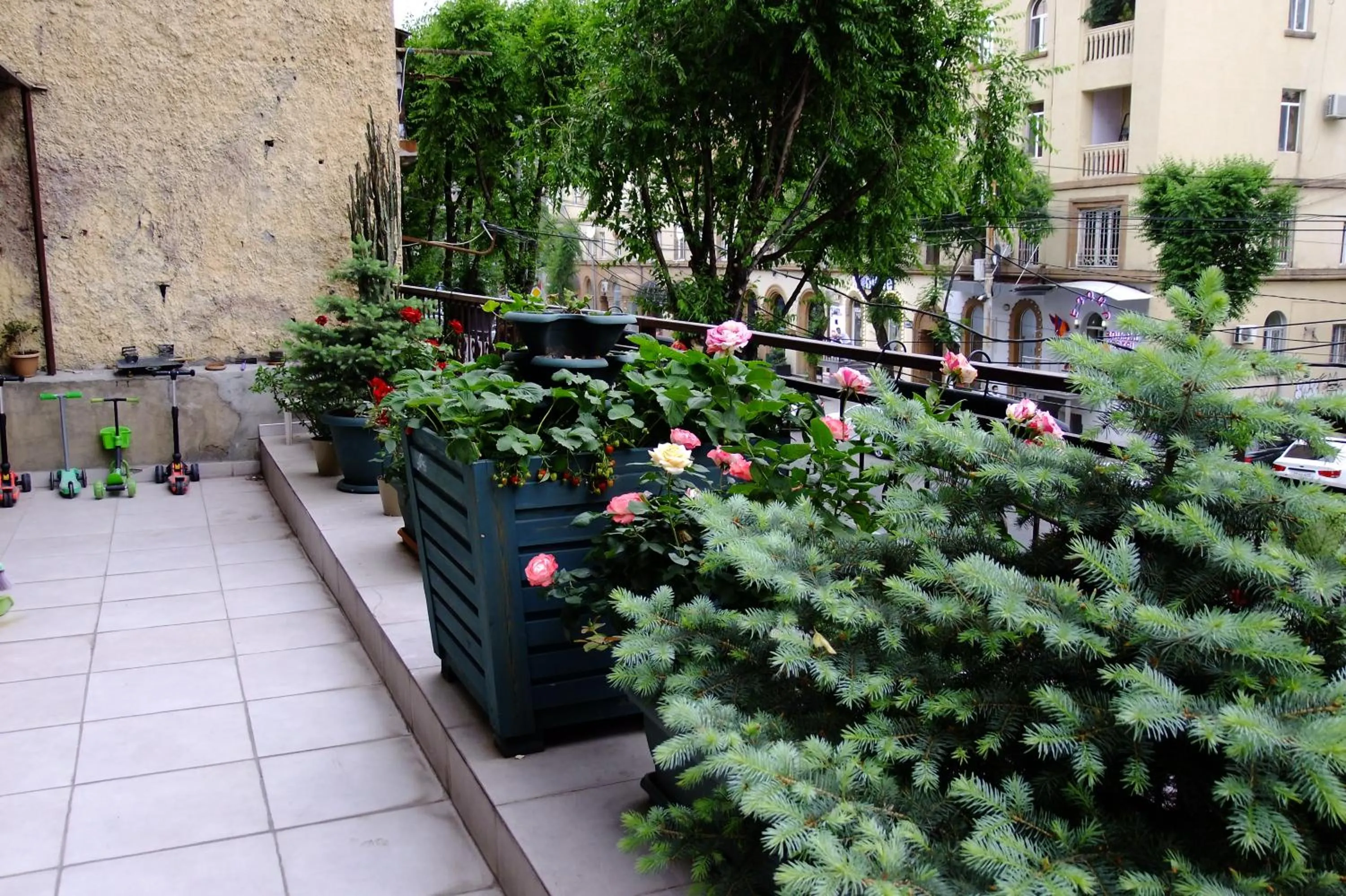 Garden in Yerevan center apartment 5A