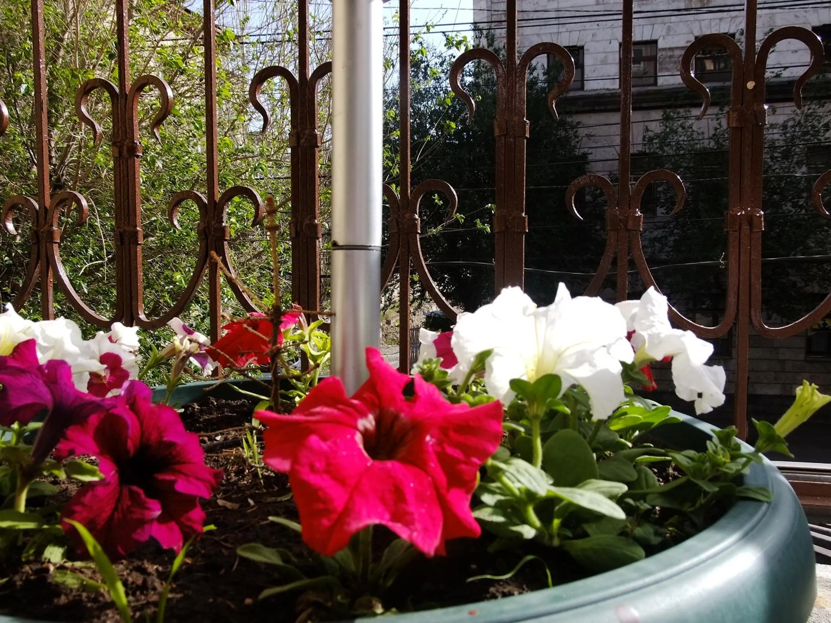 Garden in Yerevan center apartment 5A