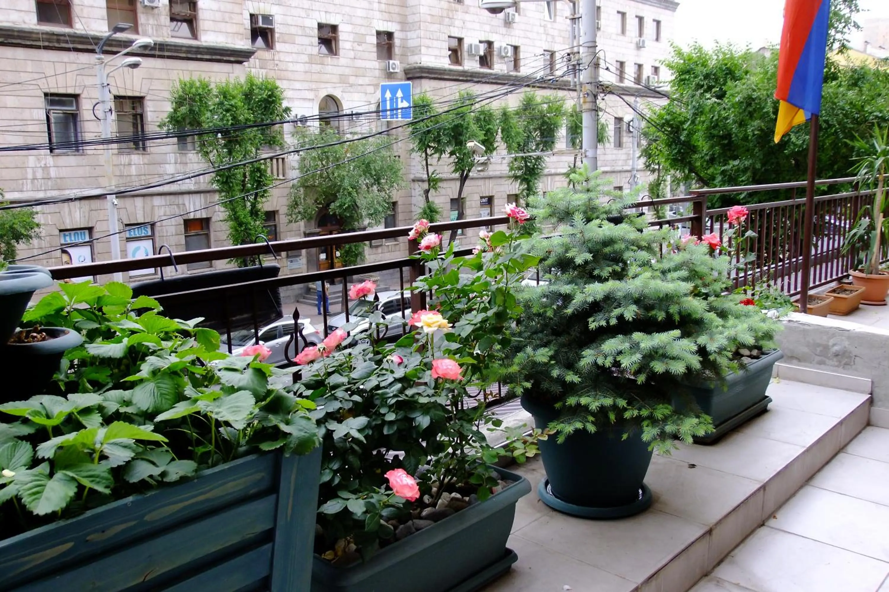 Garden in Yerevan center apartment 5A