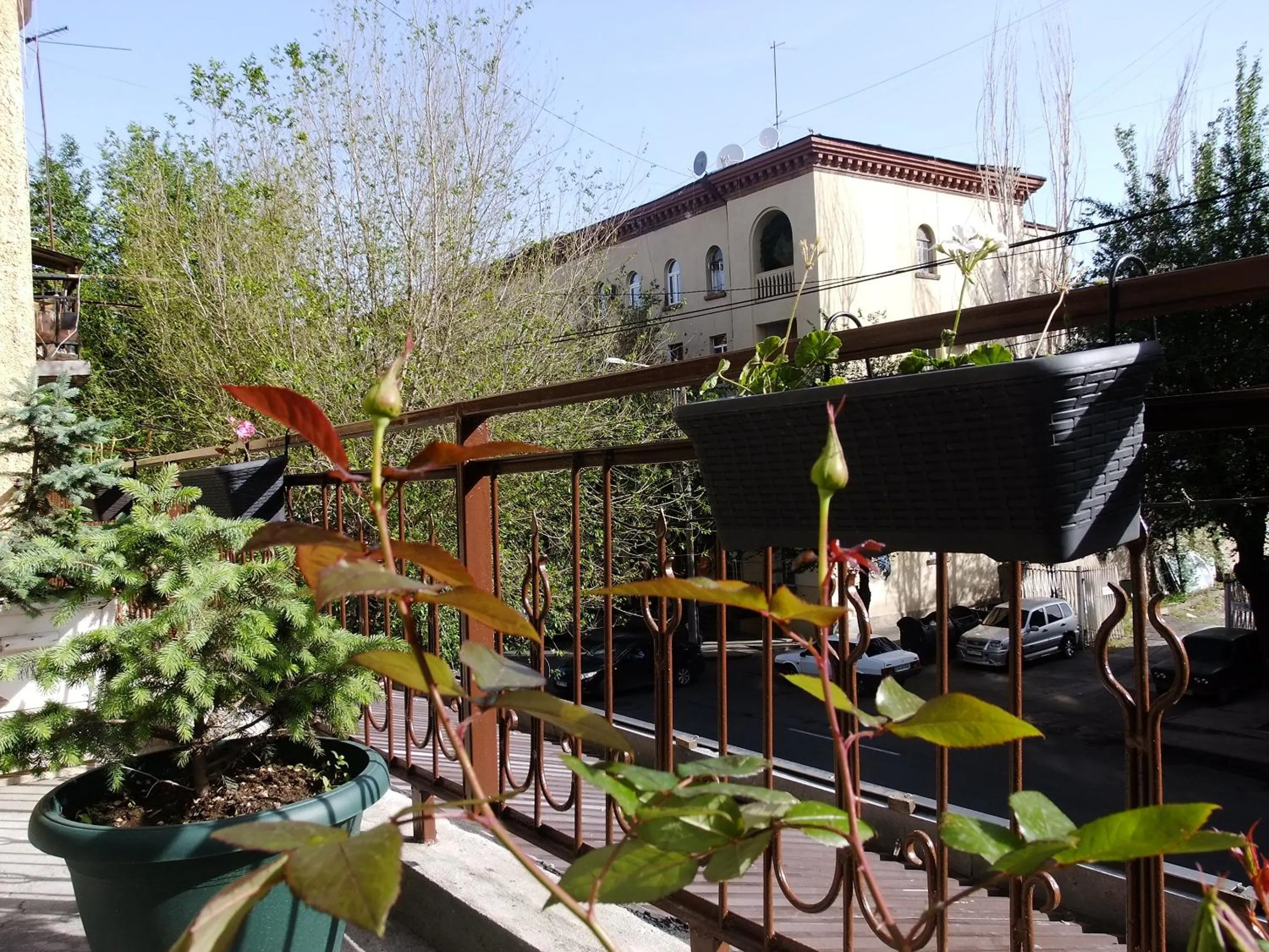 Garden in Yerevan center apartment 5A