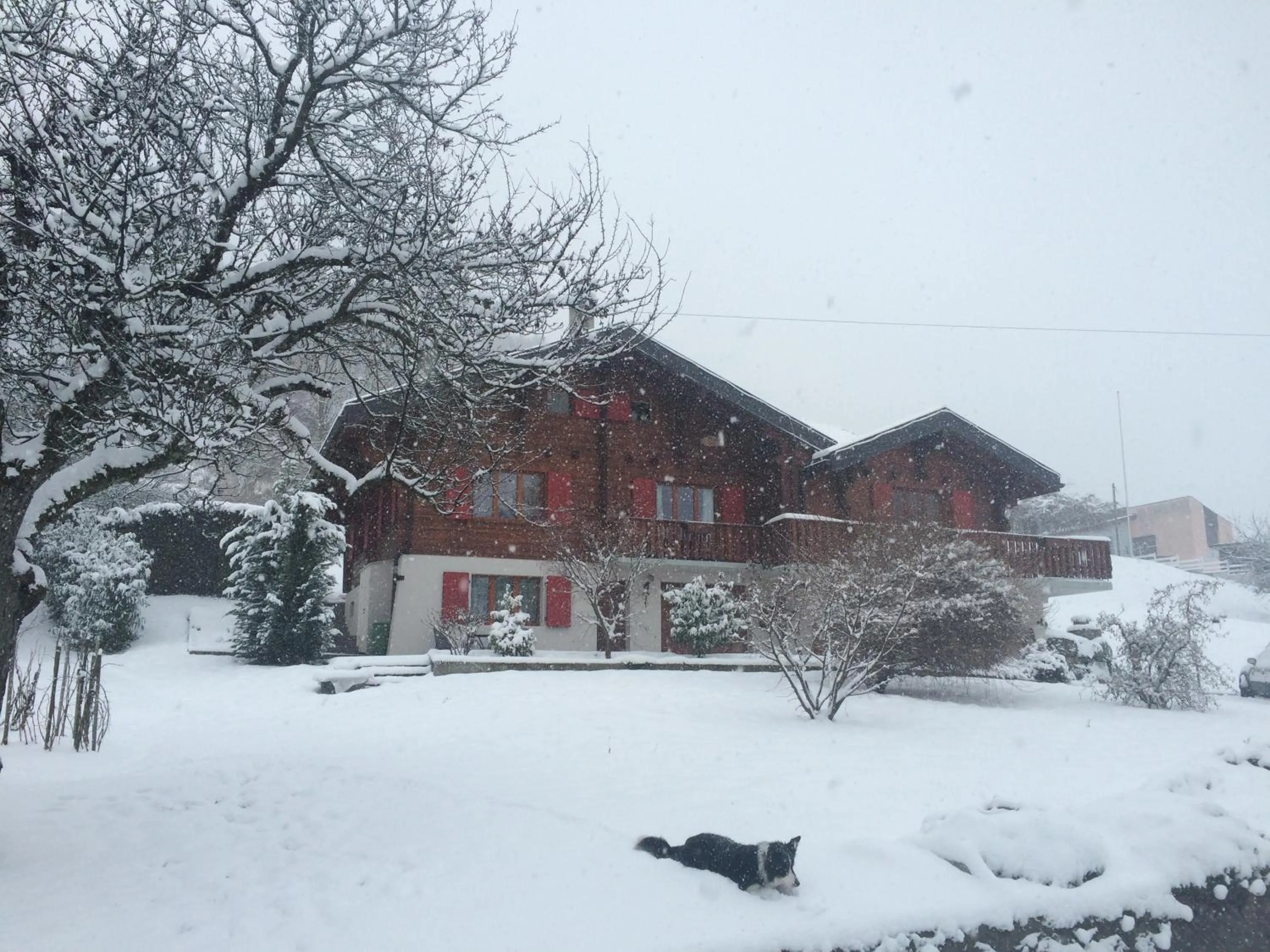 Property building in La Bergerie - chalet Alice