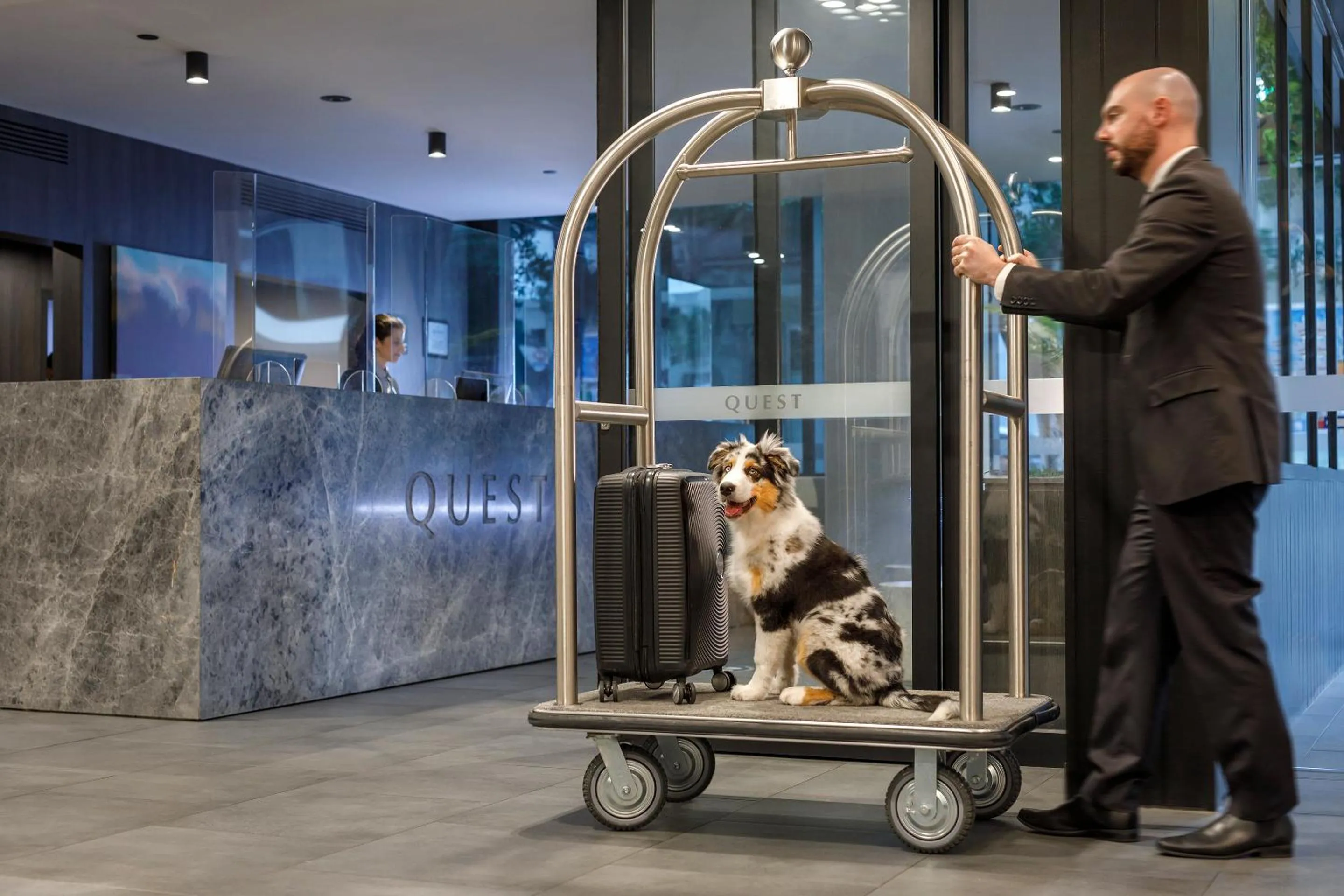 Pets in Quest Macquarie Park