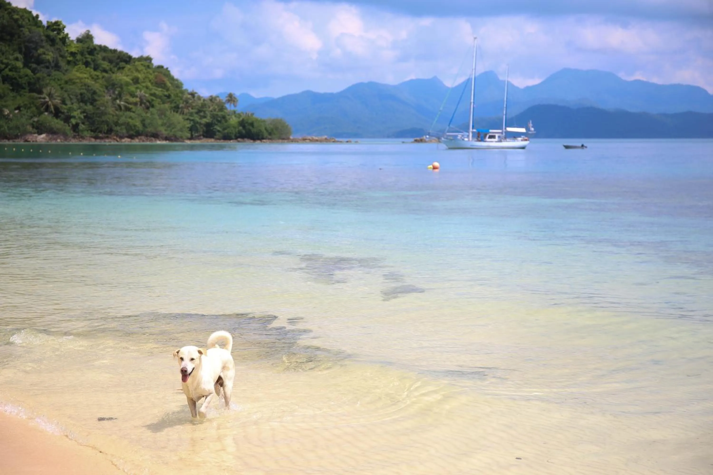 Snorkeling in Baan Chan Lay Koh Chang