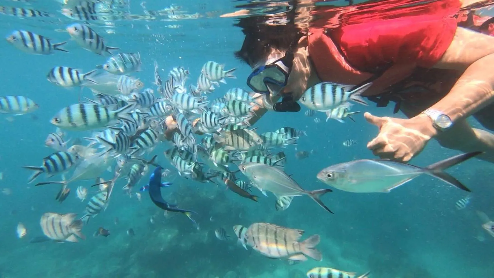 Snorkeling in Baan Chan Lay Koh Chang