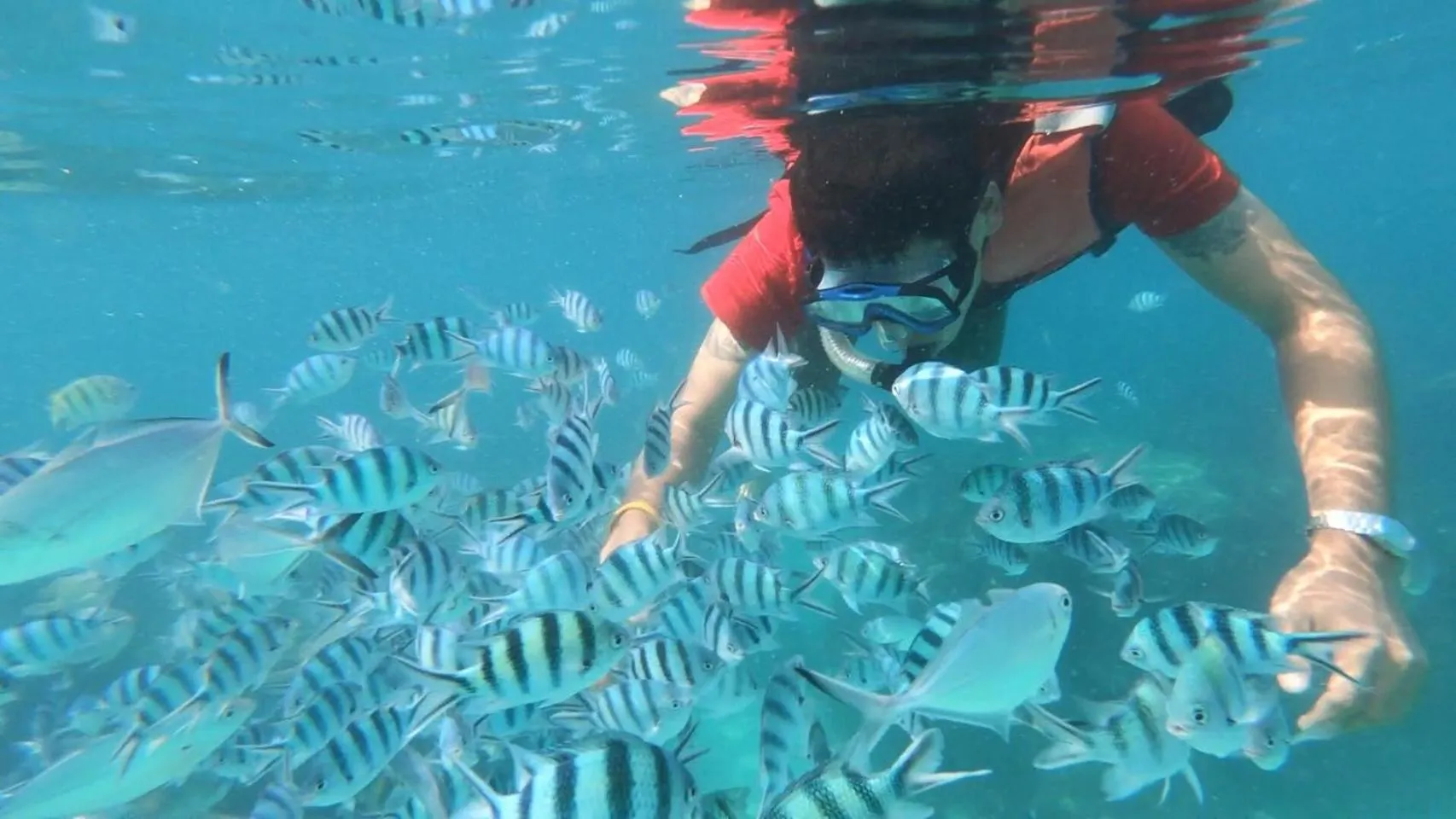 Snorkeling in Baan Chan Lay Koh Chang