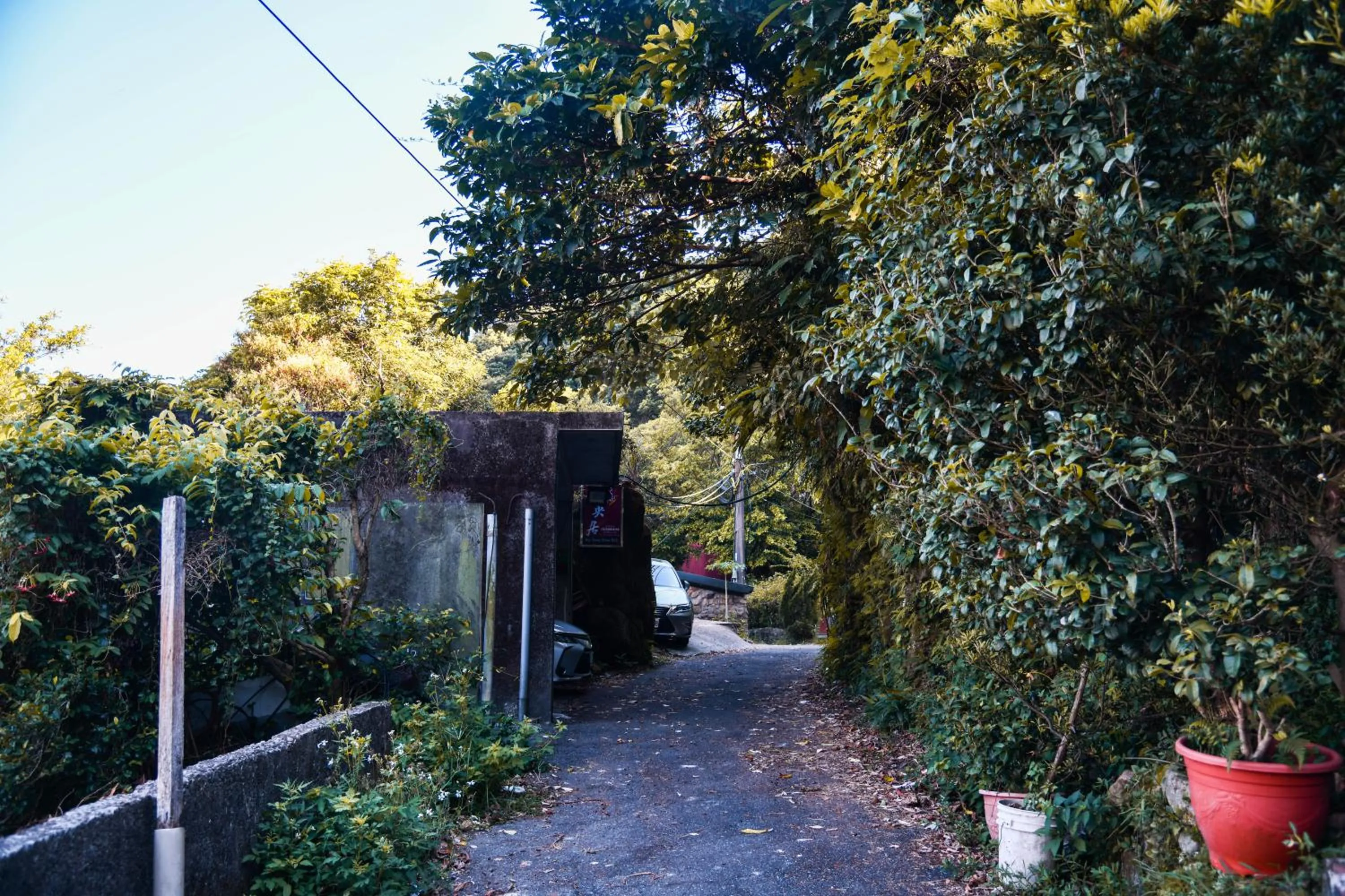 Property building in Way Young House