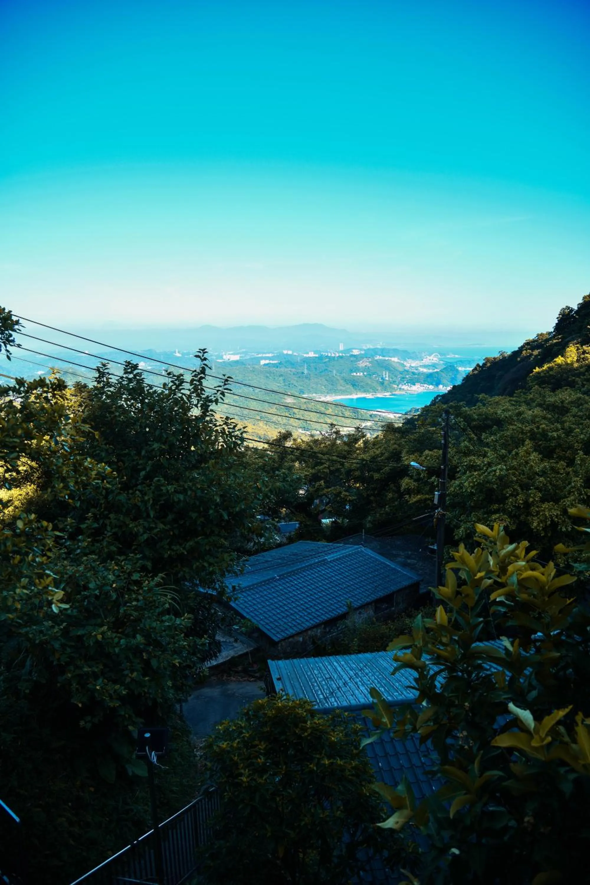Property building in Way Young House