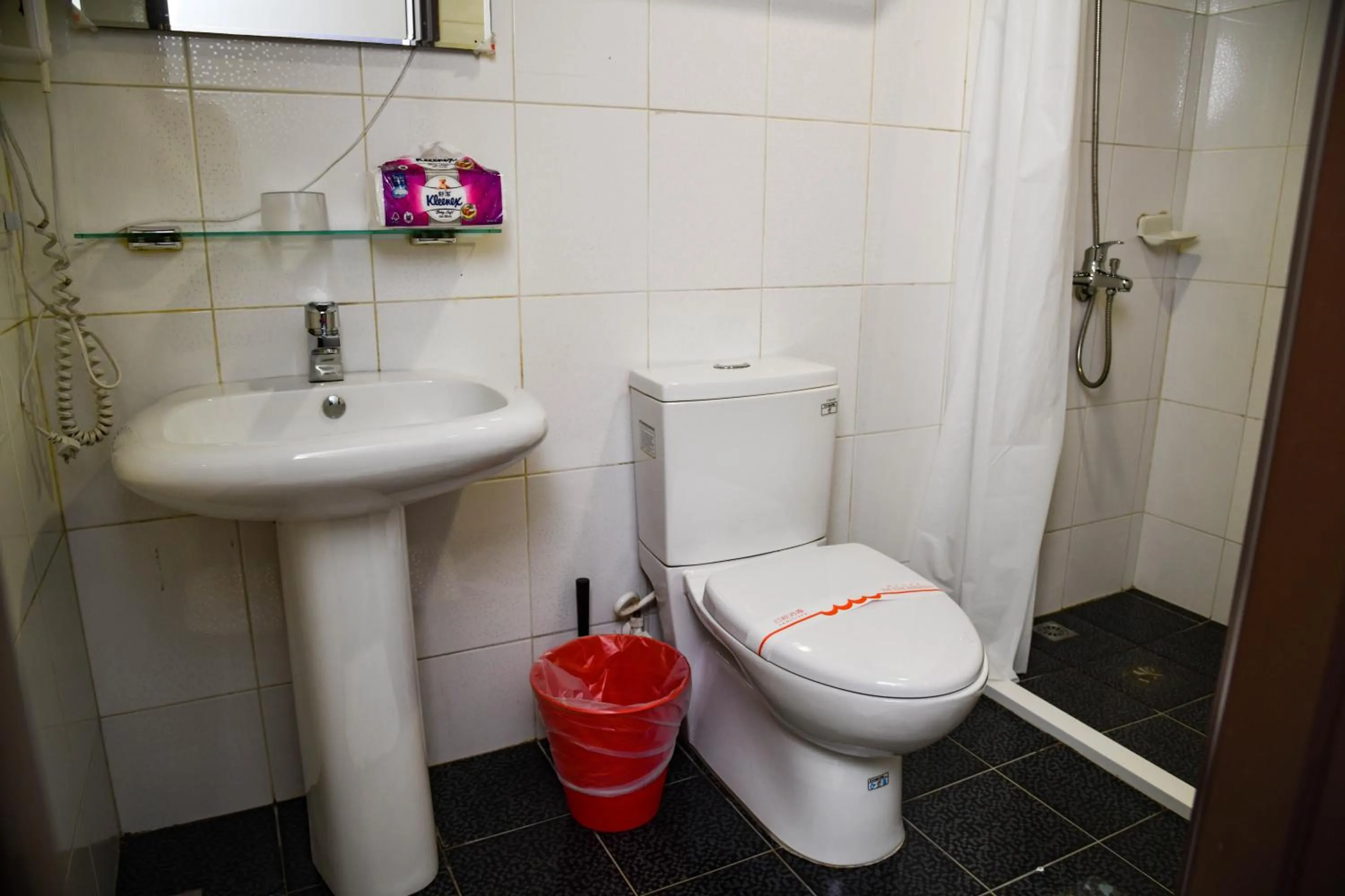 Toilet in Way Young House