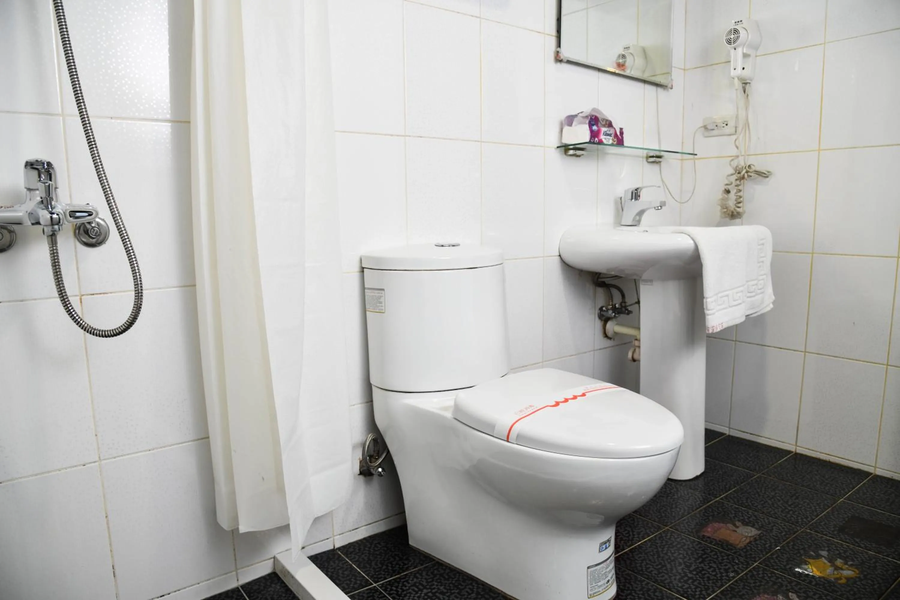 Toilet in Way Young House