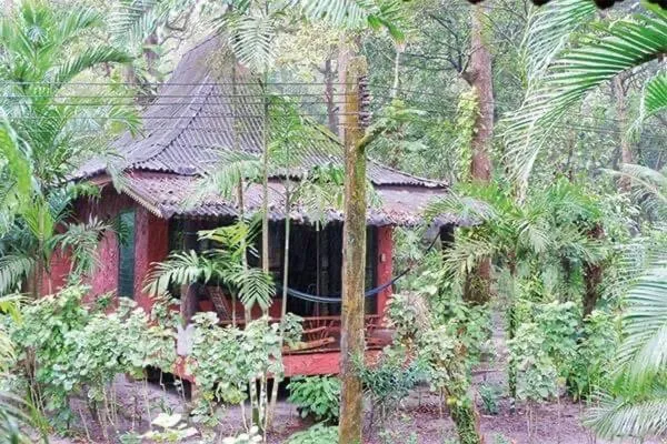 Bamboo Bungalows