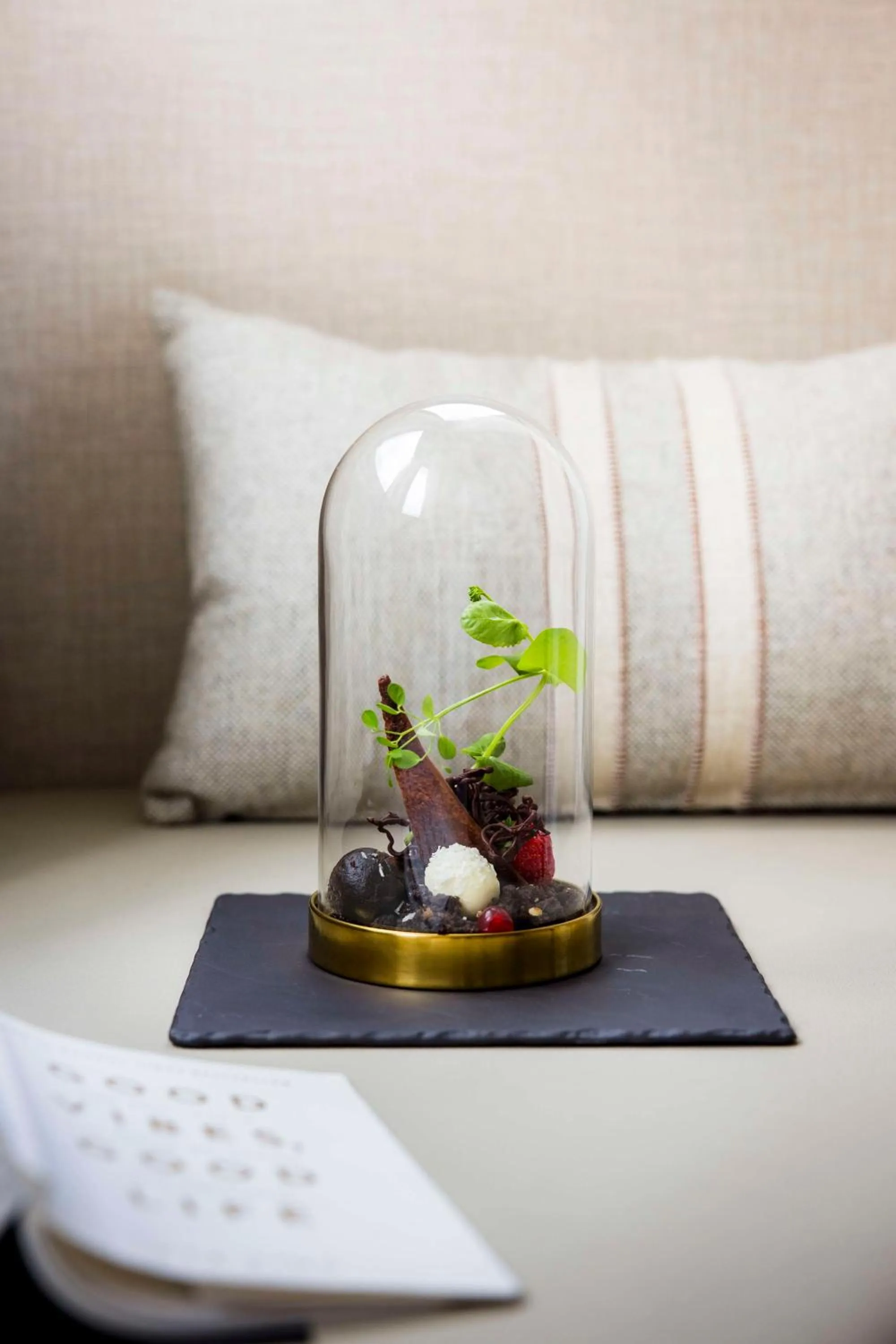 Other in NH Collection Gent