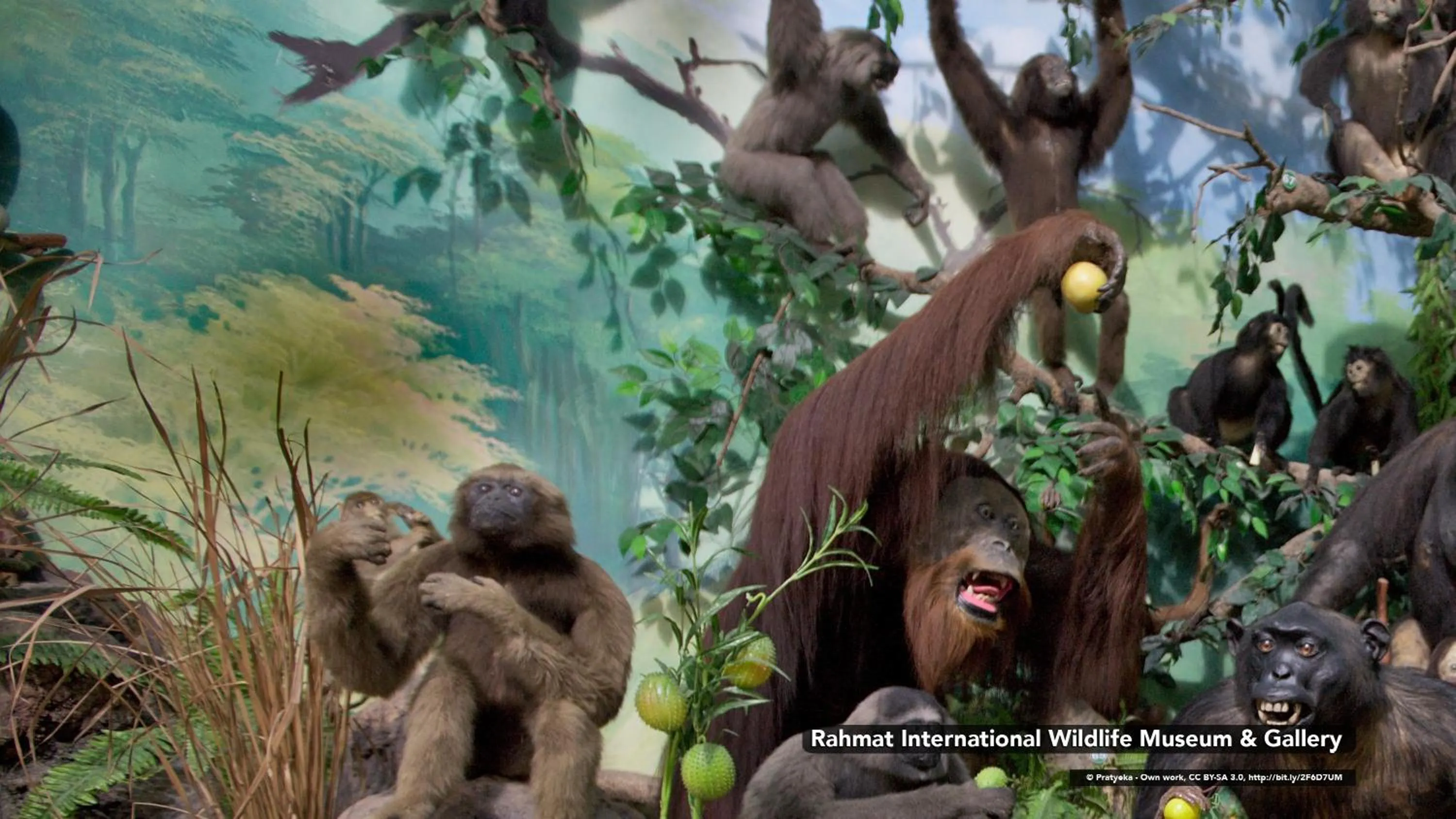 Nearby landmark in O2 Residence