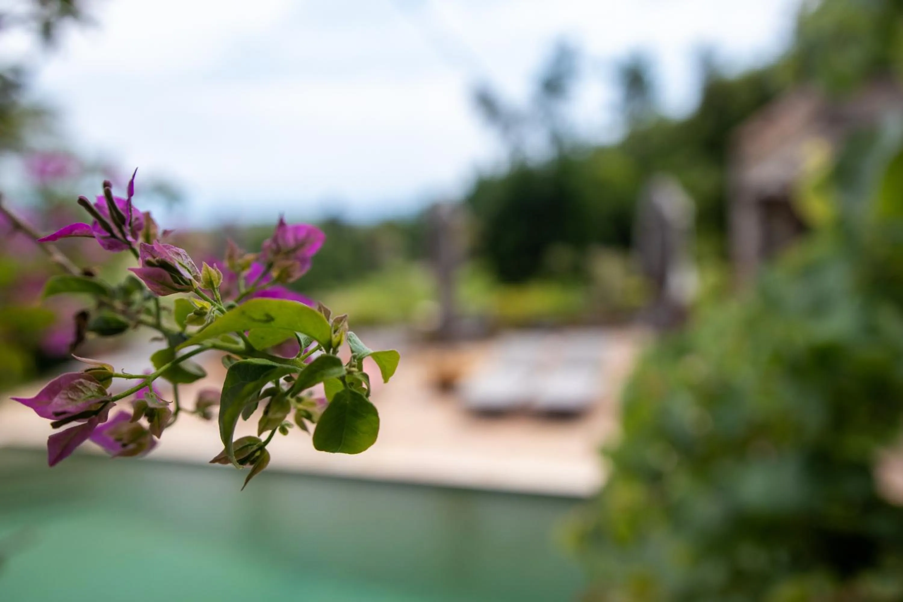 Pool view in Le Mazet de Tourrettes