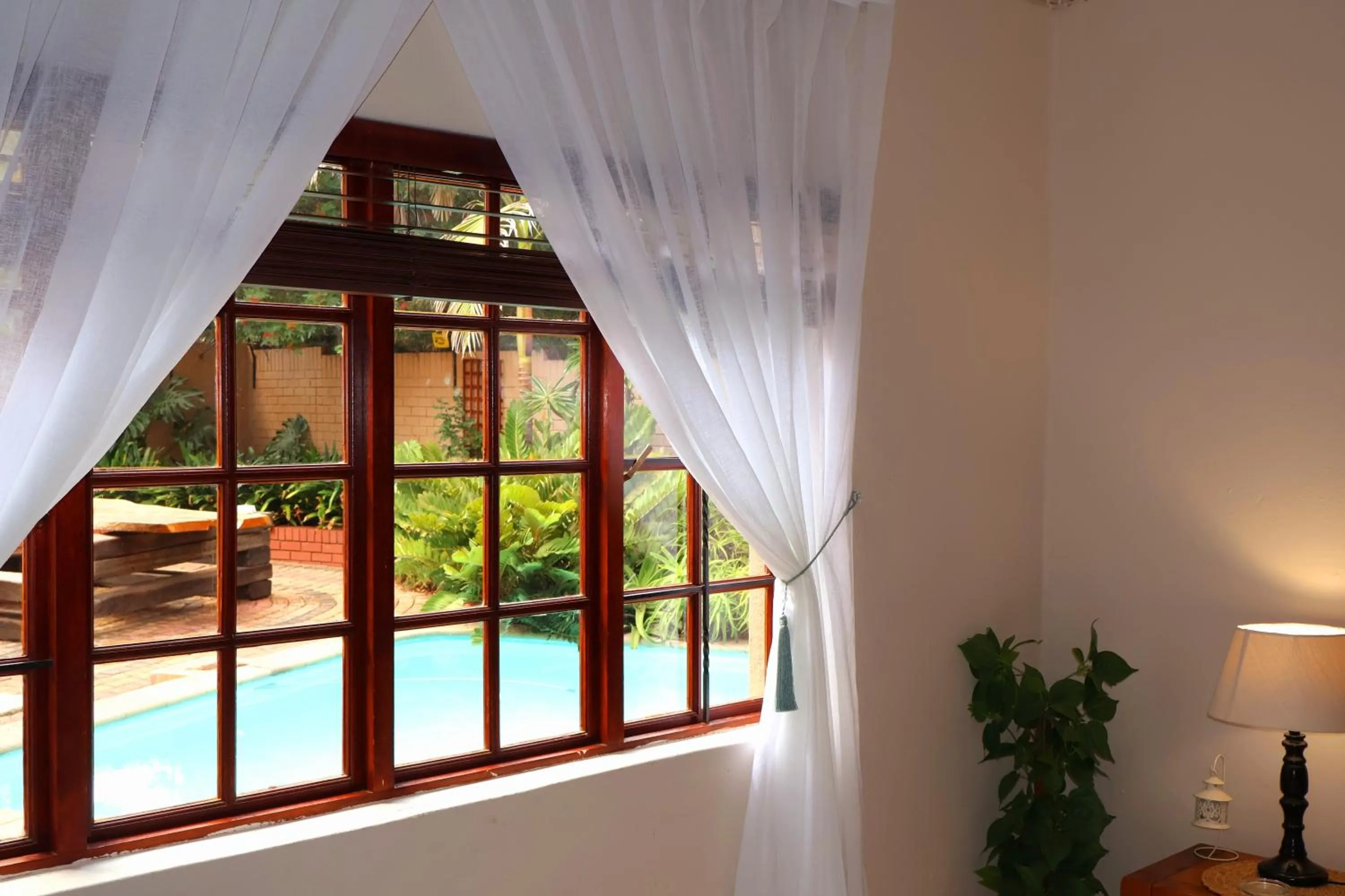 Pool view in The Leopard Tree