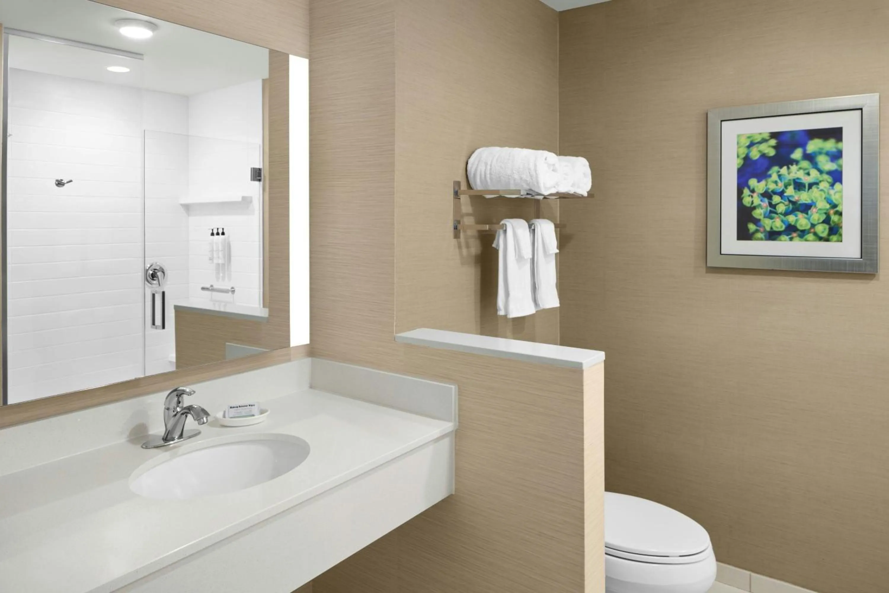 Bathroom in Fairfield Inn & Suites by Marriott Richmond Ashland