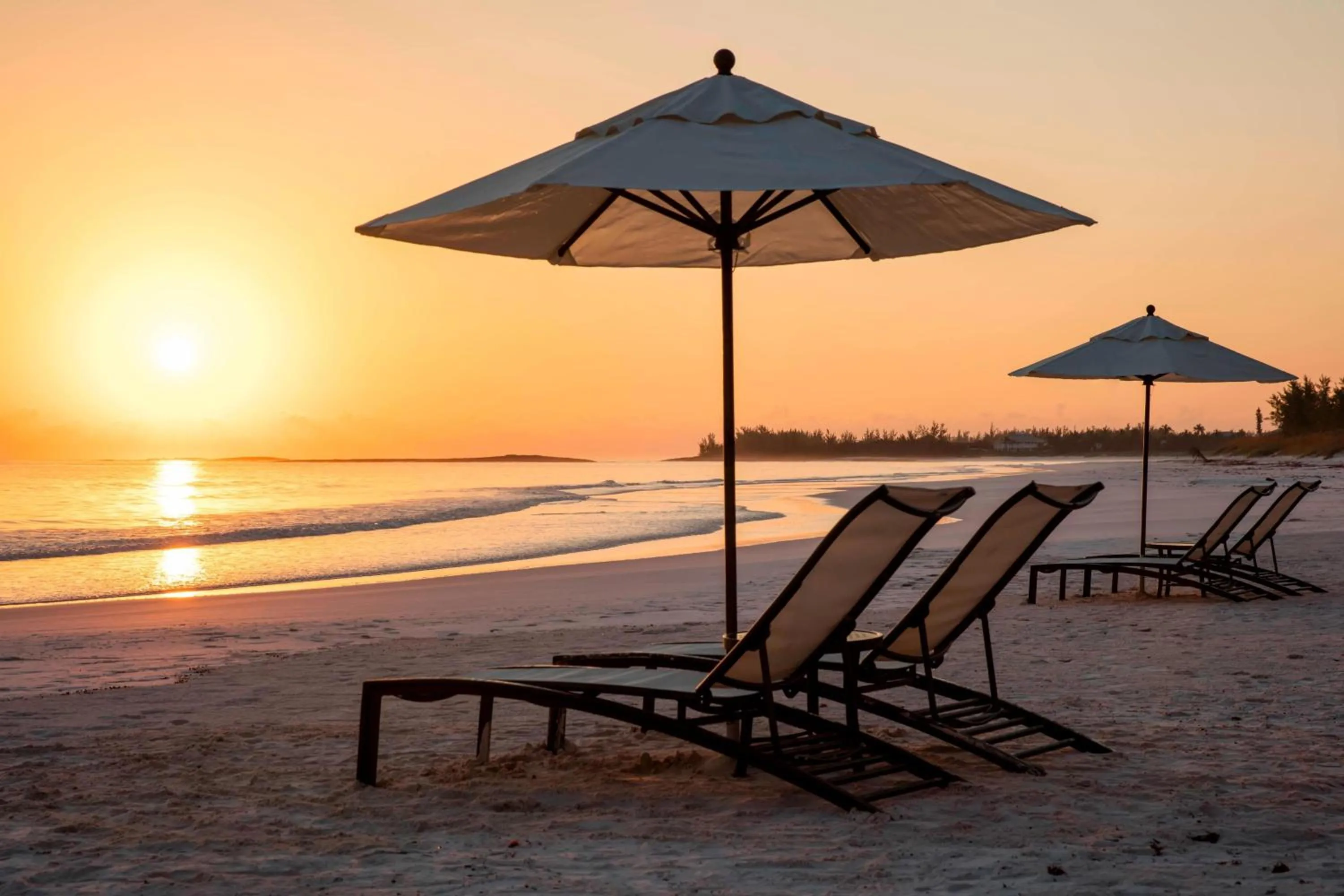 French Leave Resort, Autograph Collection