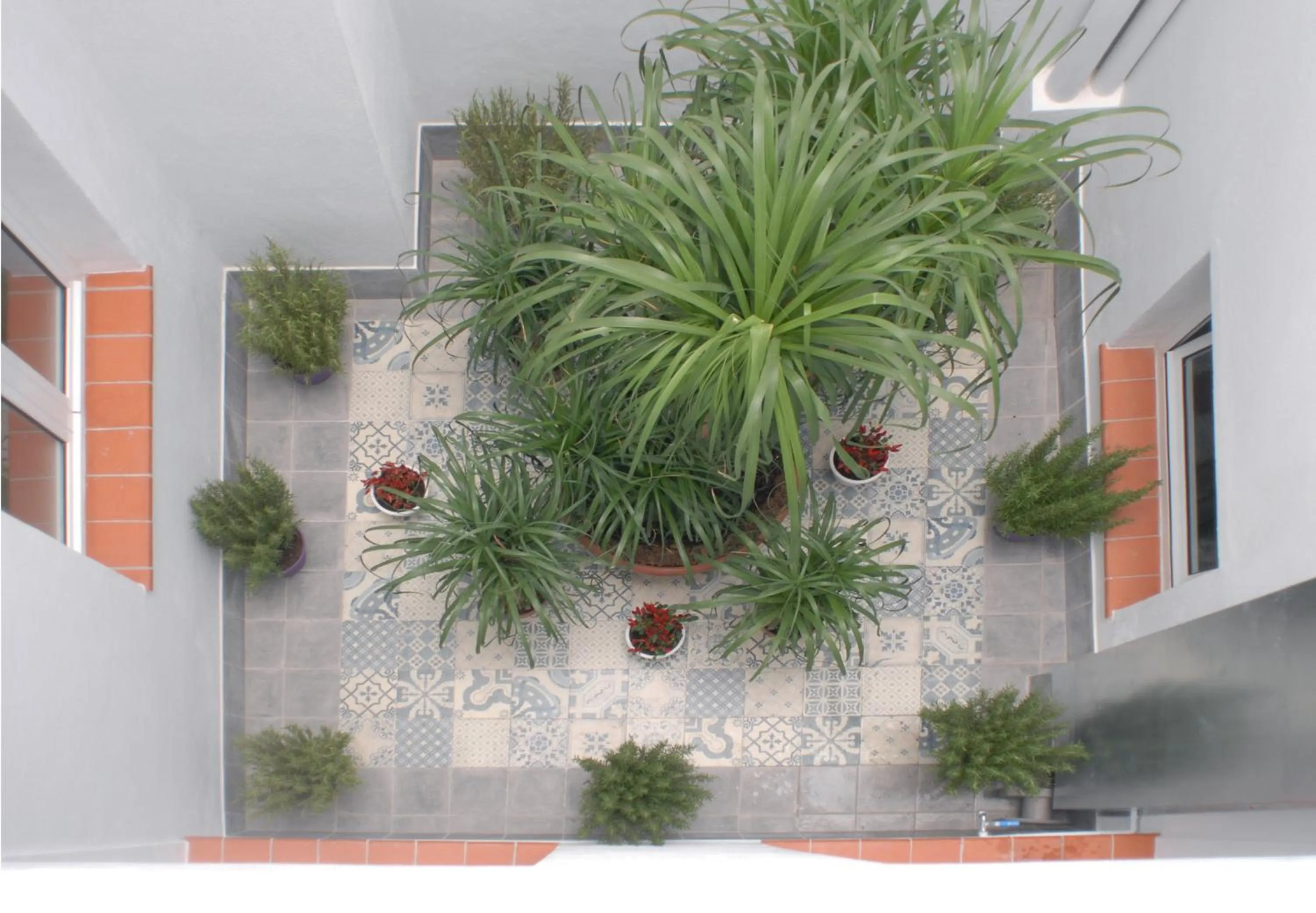 Property building in Suites del Arenal Olehousing