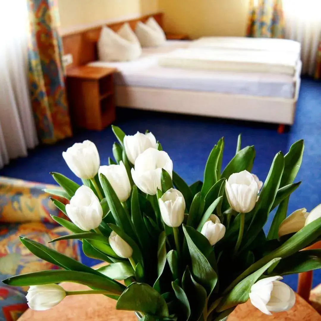 Double Room in Hotel-Cafe Rathaus Double Room in Hotel-Cafe Rathaus