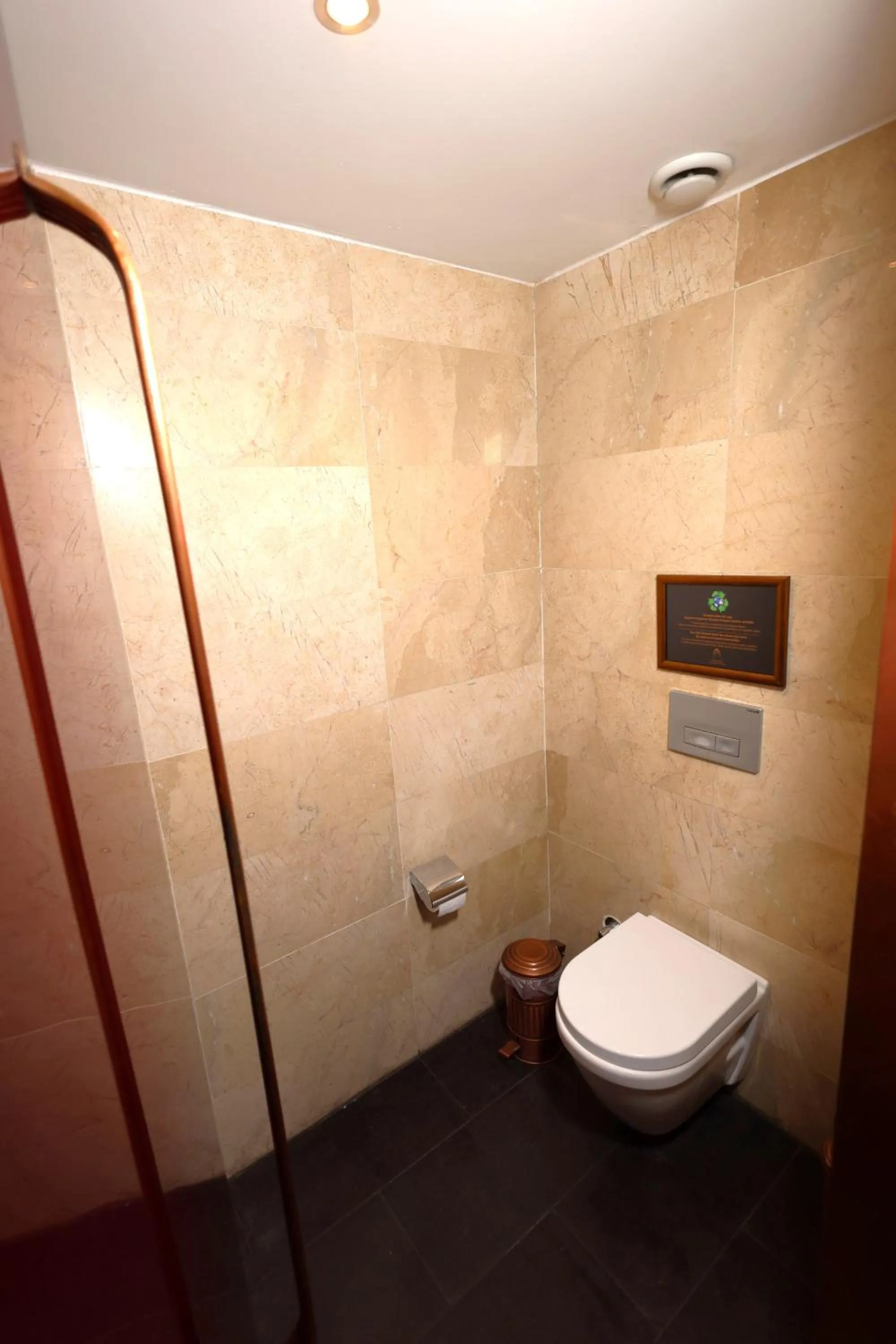 Toilet in HSVHN Hotel Hışvahan