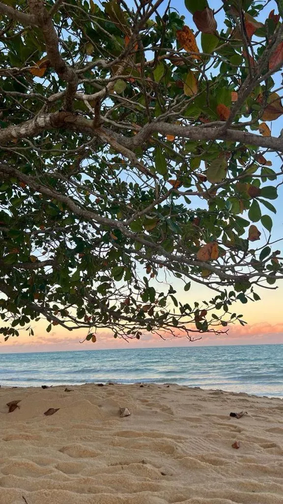 Casa da Dilma Trancoso