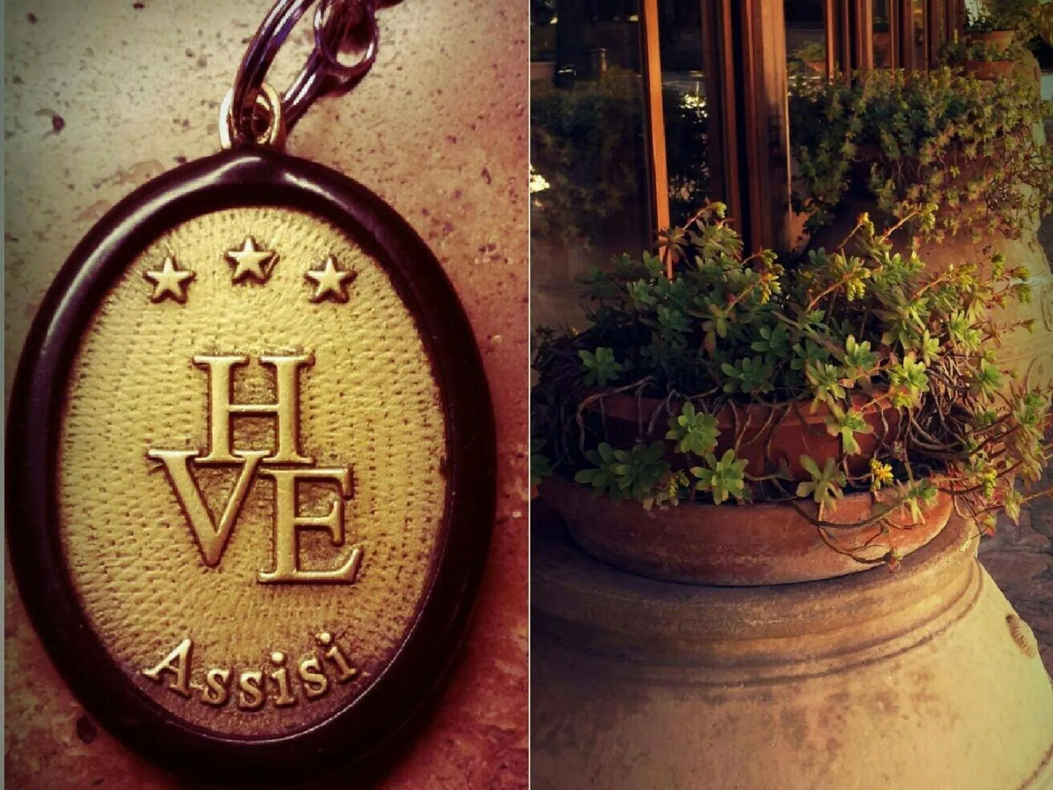 Property logo or sign in Hotel Villa Elda